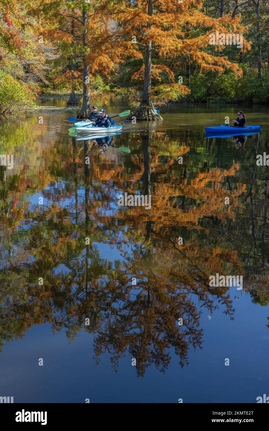 Kayakers in autumn, Trap Pond State Park, Delaware Stock Photo