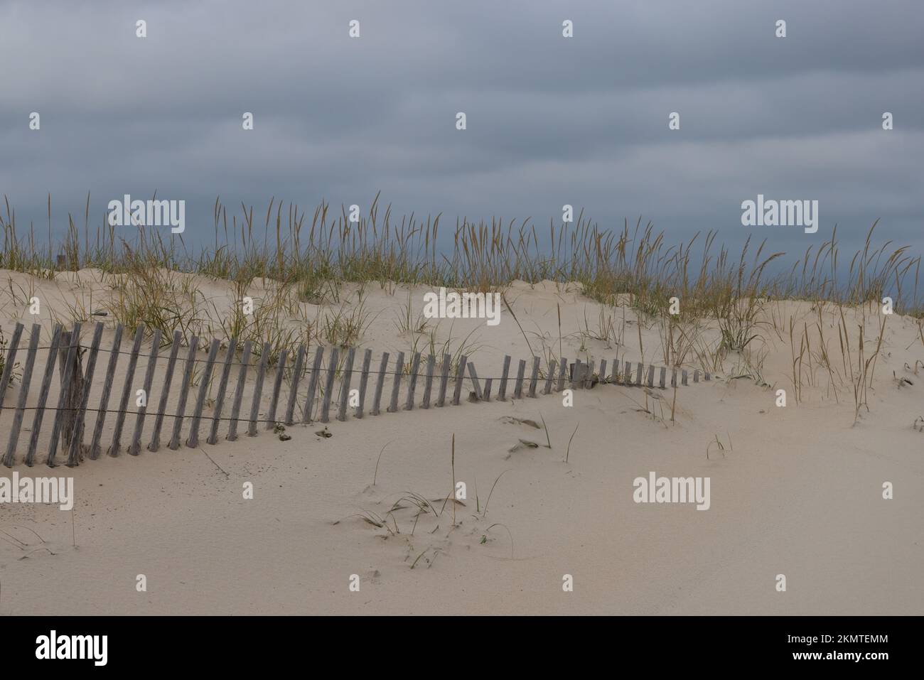 Partially buried fence in the sand dune, Cape Henlopen State Park, Delaware Stock Photo