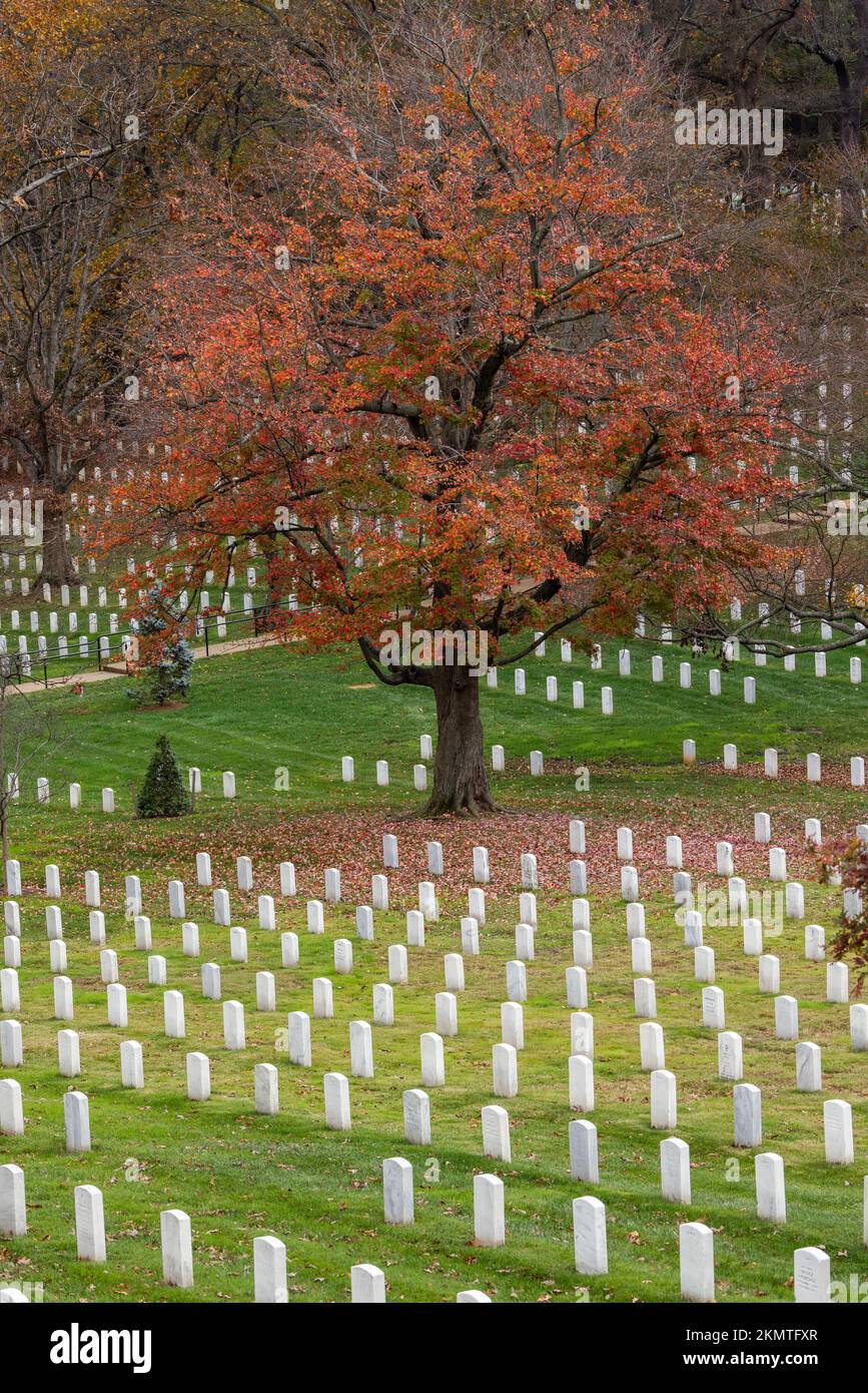 Arlington National Cemetery in autumn, Washington, DC Stock Photo