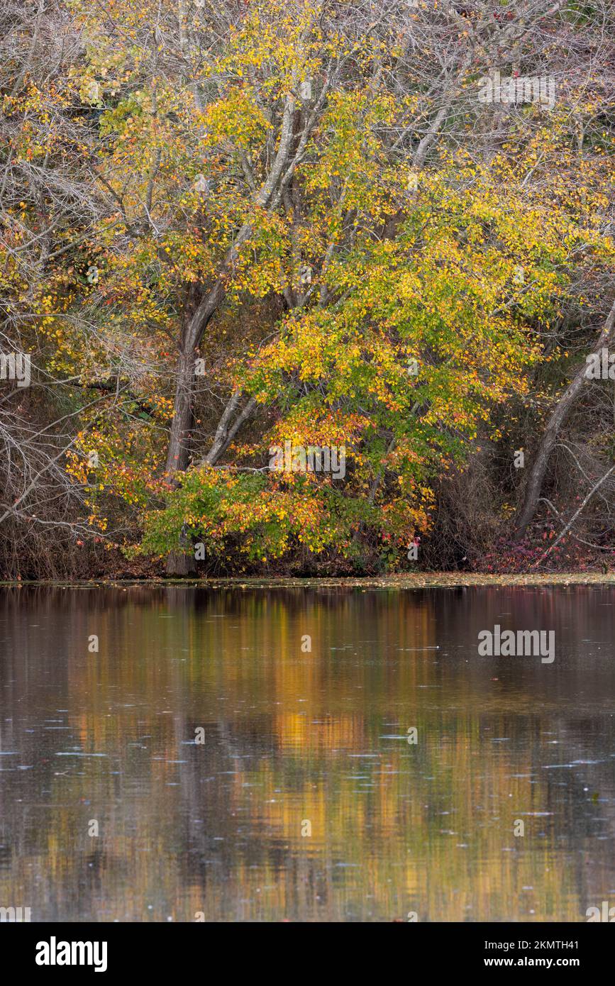 Abbotts pond hires stock photography and images Alamy