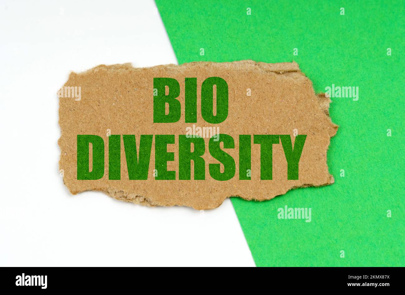 Environmental concept. On a white-green background lies a piece of ...