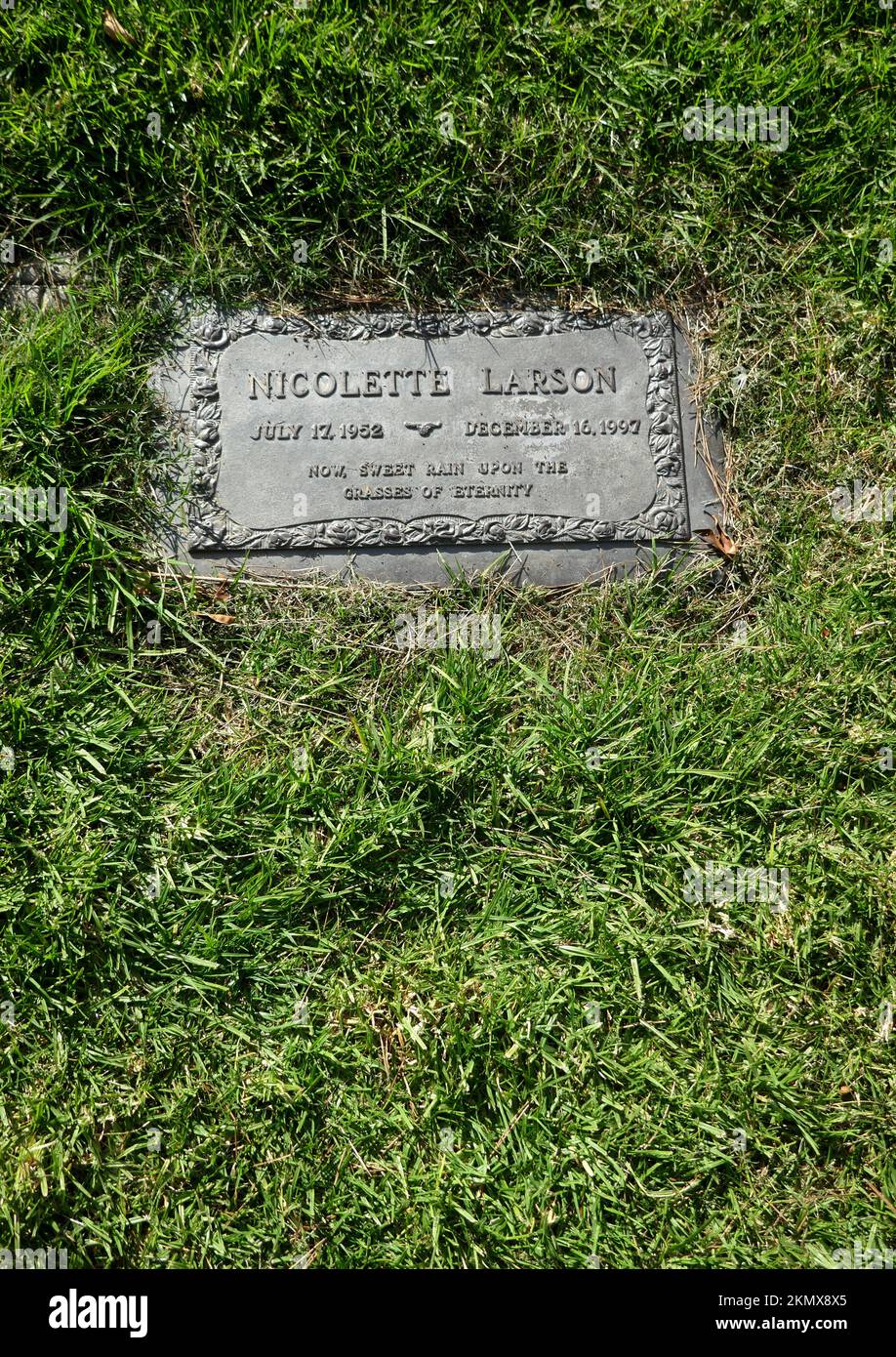 Los Angeles, California, USA 25th November 2022 Singer Nicolette Larson's Grave in Murmuring Trees Section at Forest Lawn Memorial Park Hollywood Hills on November 25, 2022 in Los Angeles, California, USA. Photo by Barry King/Alamy Stock Photo Stock Photo