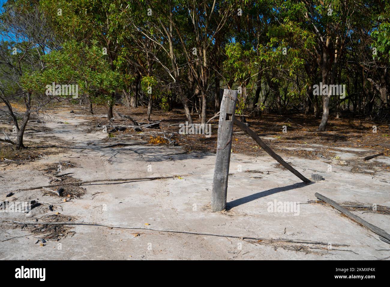 Old wooden fence post beside cross island walking track Great Keppel Island, Capricorn Coast, Queensland, Australia Stock Photo