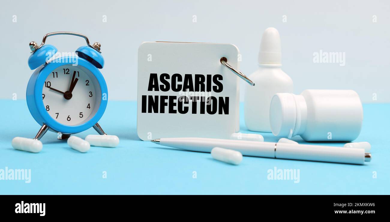 Medicine and health concept. On a blue surface lie pills, an alarm clock and a notebook with the inscription - Ascaris Infection Stock Photo