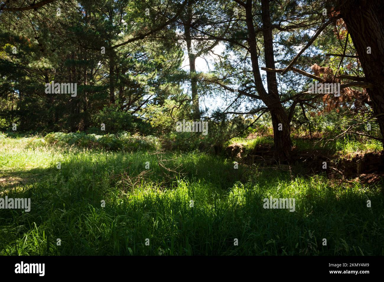 Kernot Victoria Australia Landscape Stock Photo