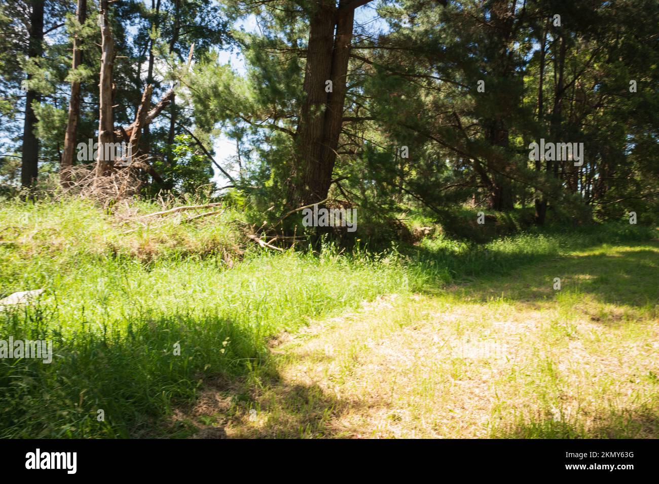 Kernot Victoria Australia Landscape Stock Photo