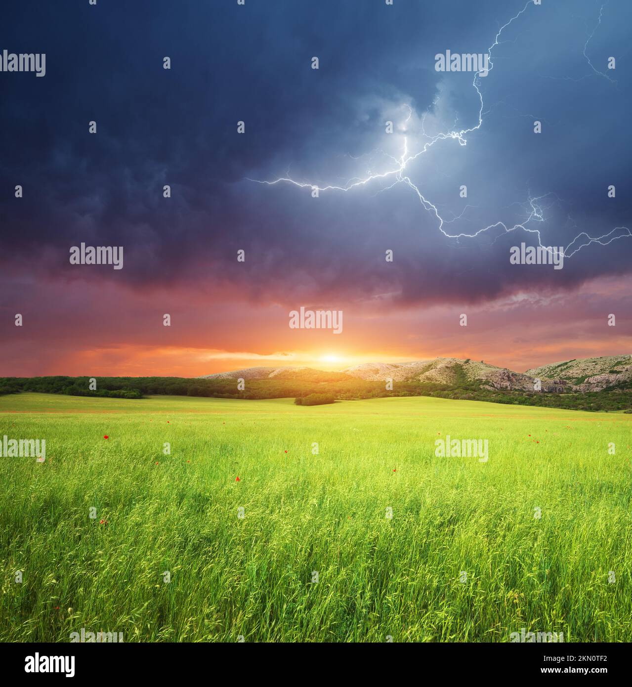 Green meadow in mountain. Sunset and lightning in spring green meadow. Composition of nature. Stock Photo