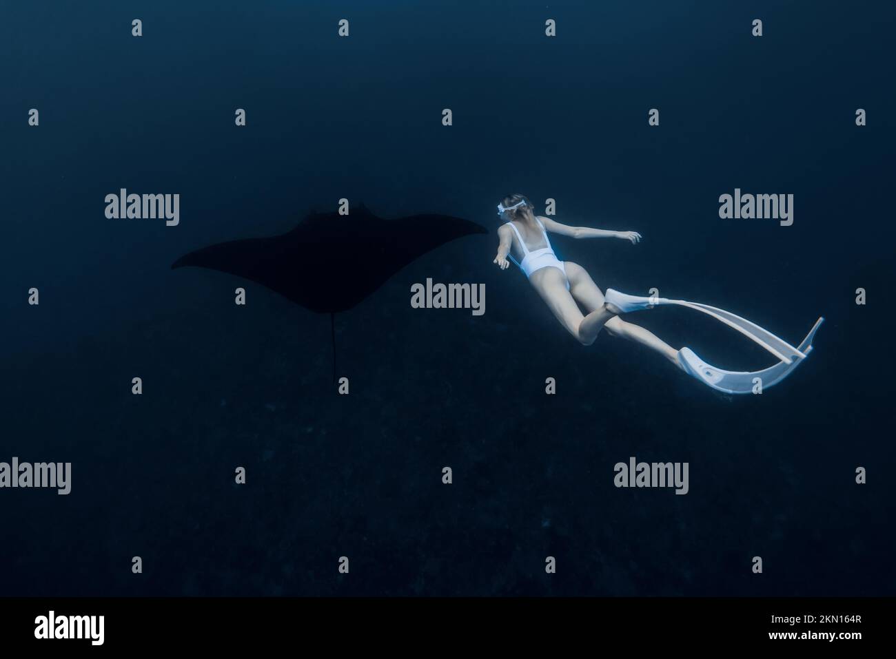 Woman freediver with white fins swim with manta ray. Freediving with