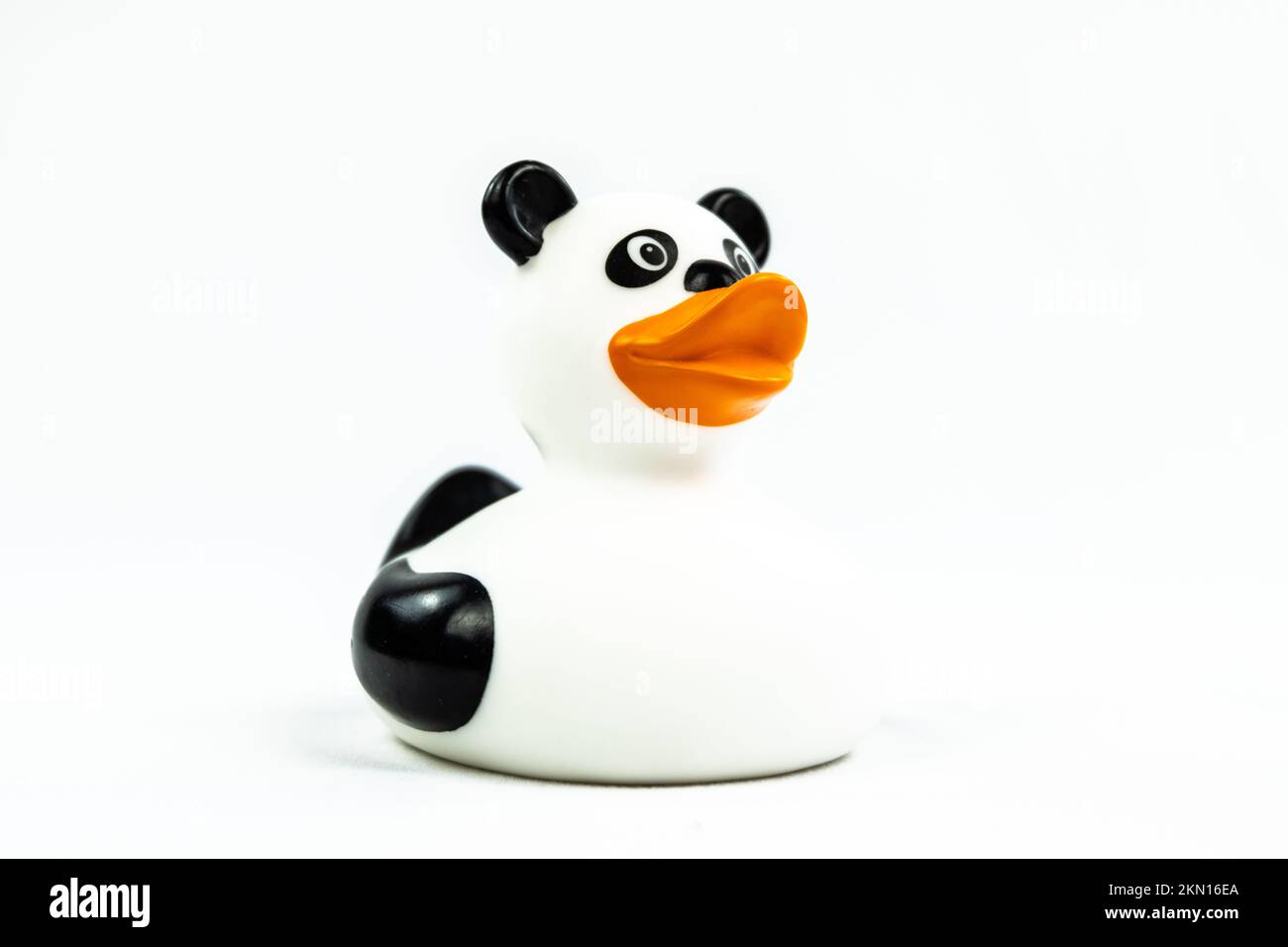 Funny panda Duck Floating Toy on white Stock Photo - Alamy