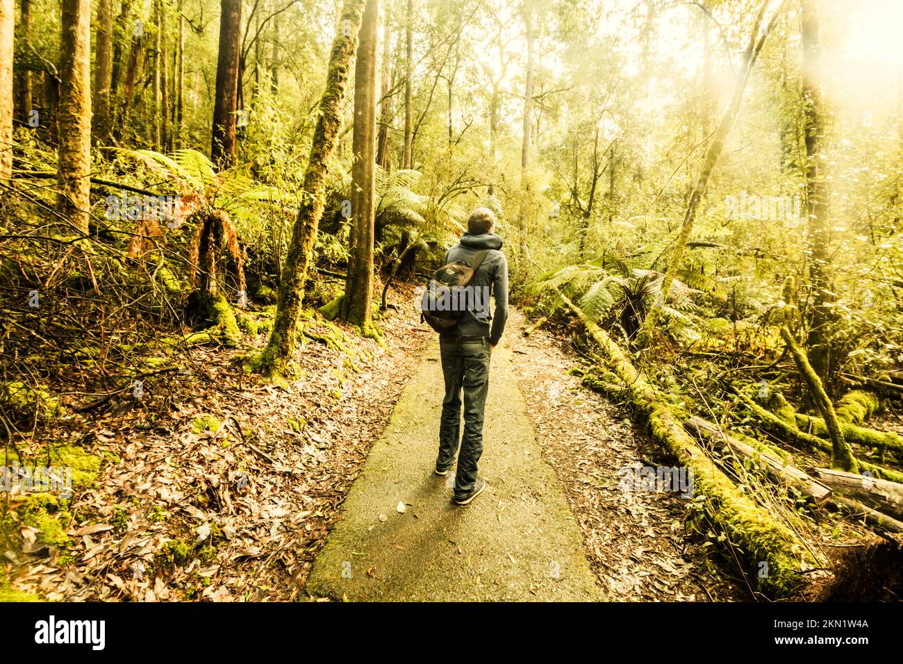 Man walking through ferns hi-res stock photography and images - Alamy