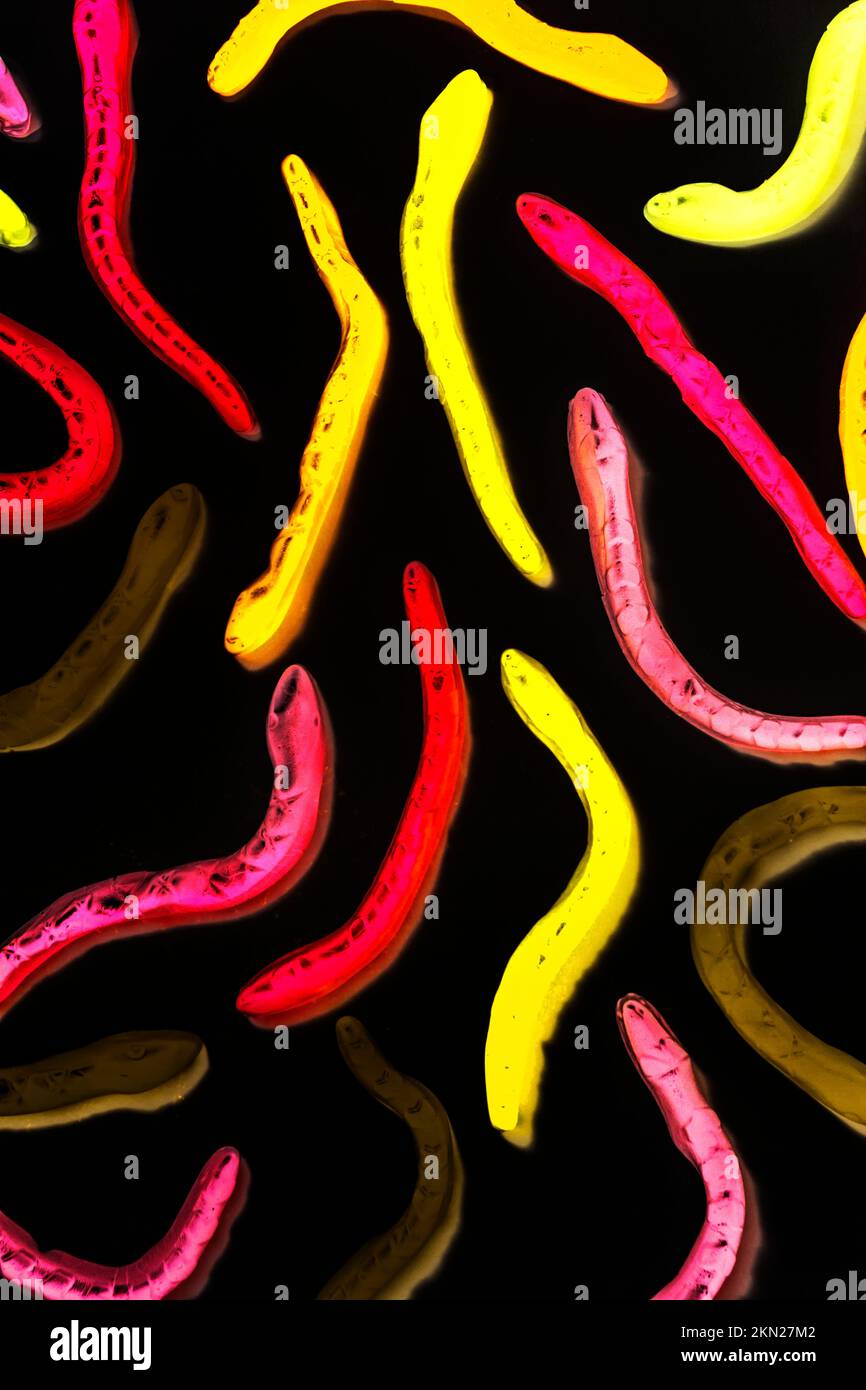 Contemporary confections with gummy snakes in chewy Halloween styles