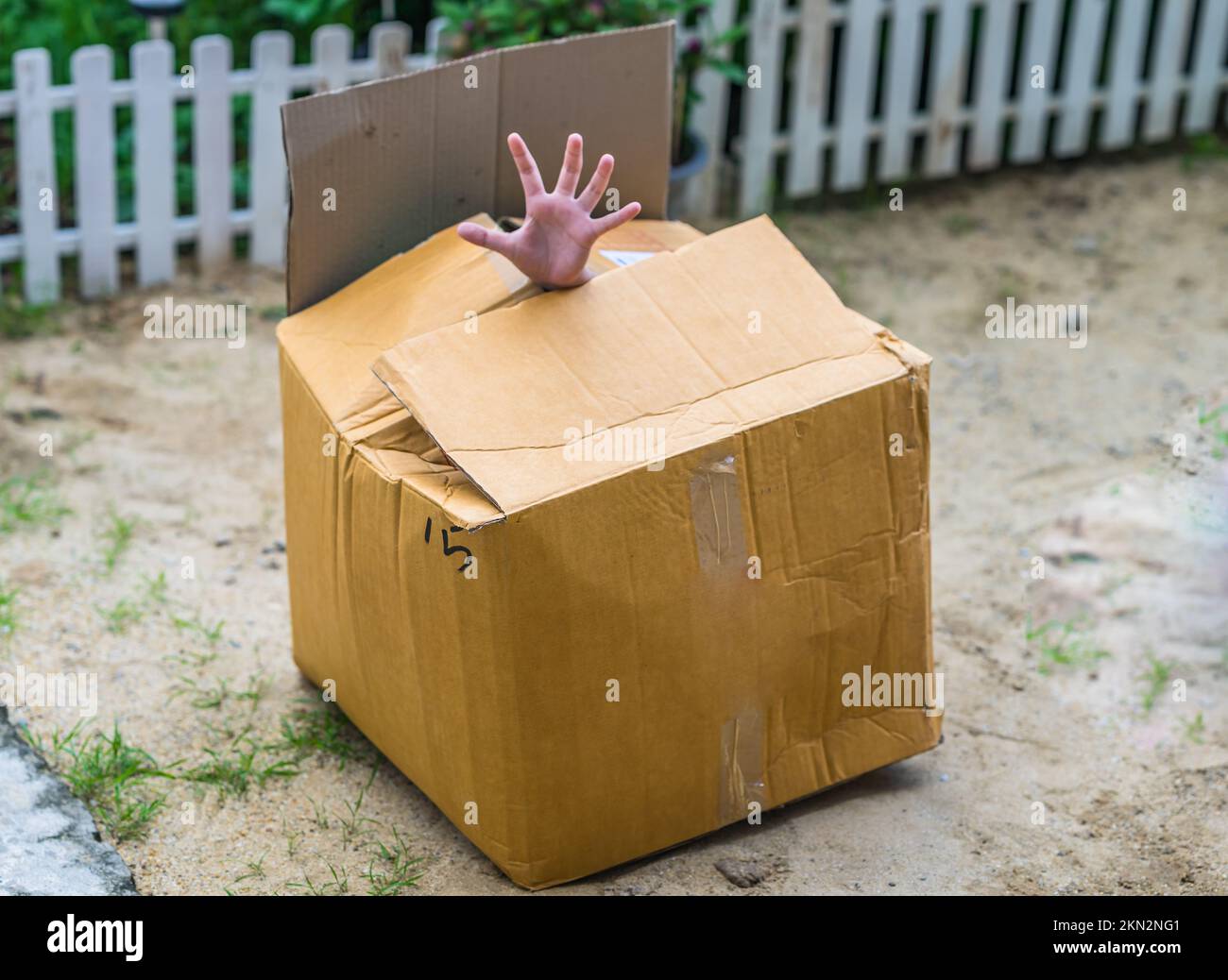 A scary had sticking out of a cardboard box. Stock Photo