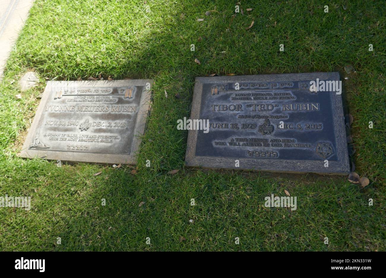 Los Angeles, California, USA 25th November 2022 Korean War Medal of Honor Recipient Tibor 'Teddy' Rubin's Grave in Garden of Shemot at Mount Sinai Memorial Park on November 25, 2022 in Los Angeles, California, USA. Photo by Barry King/Alamy Stock Photo Stock Photo