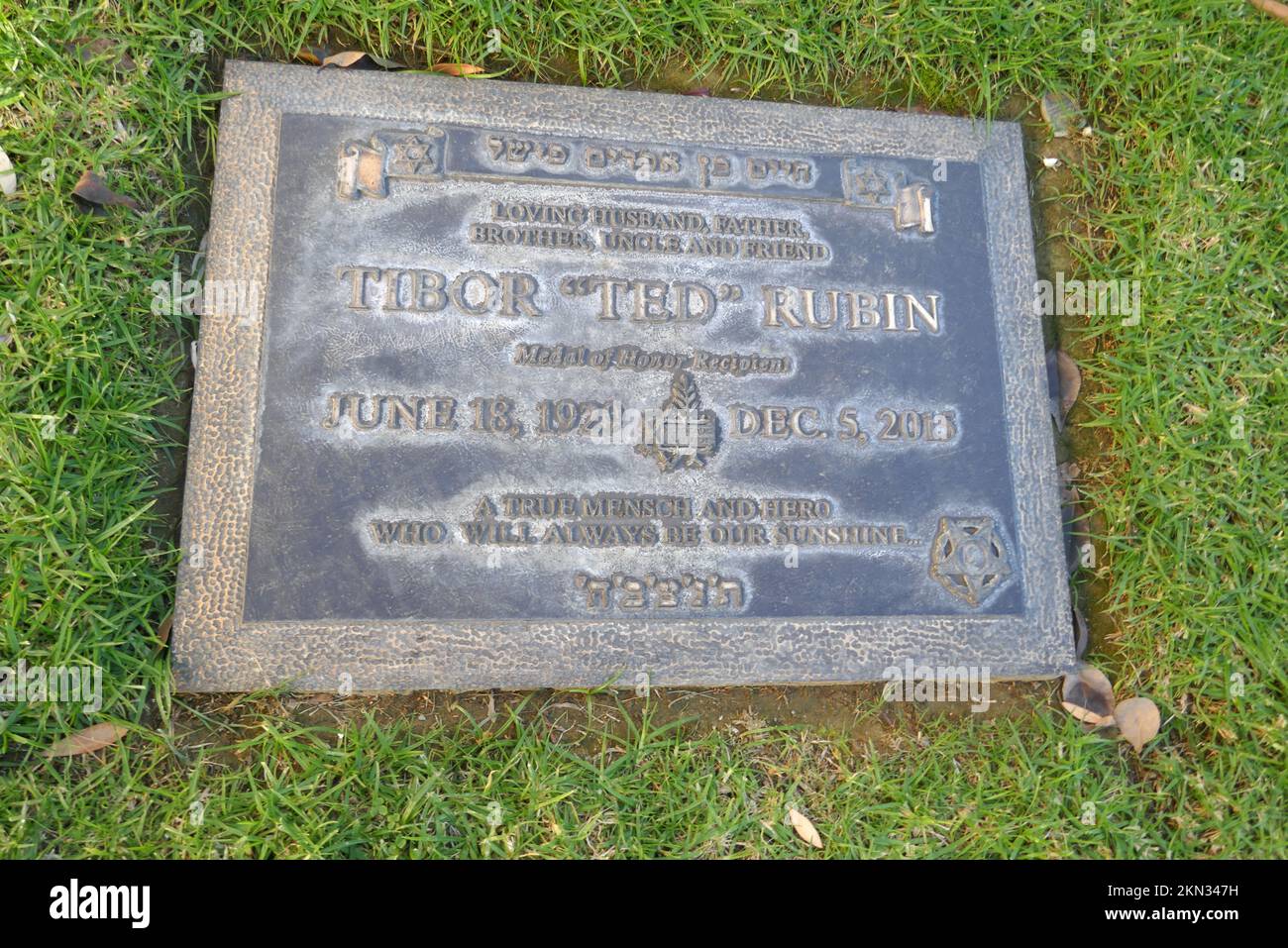 Los Angeles, California, USA 25th November 2022 Korean War Medal of Honor Recipient Tibor 'Teddy' Rubin's Grave in Garden of Shemot at Mount Sinai Memorial Park on November 25, 2022 in Los Angeles, California, USA. Photo by Barry King/Alamy Stock Photo Stock Photo