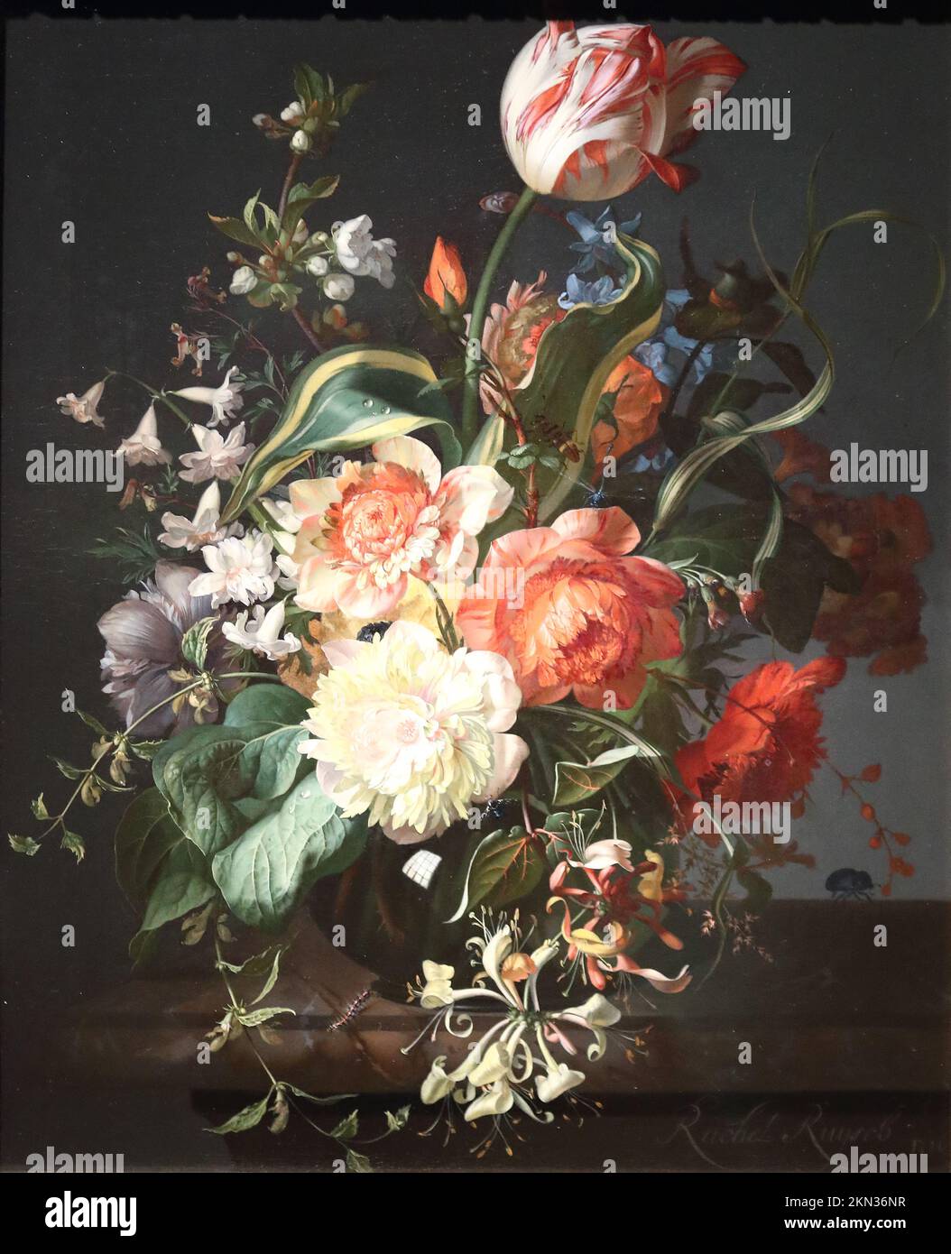 Flowers in a Glass Vase with a Tulip by Dutch Golden Age painter Rachel Ruysch at the National Gallery, London, UK Stock Photo