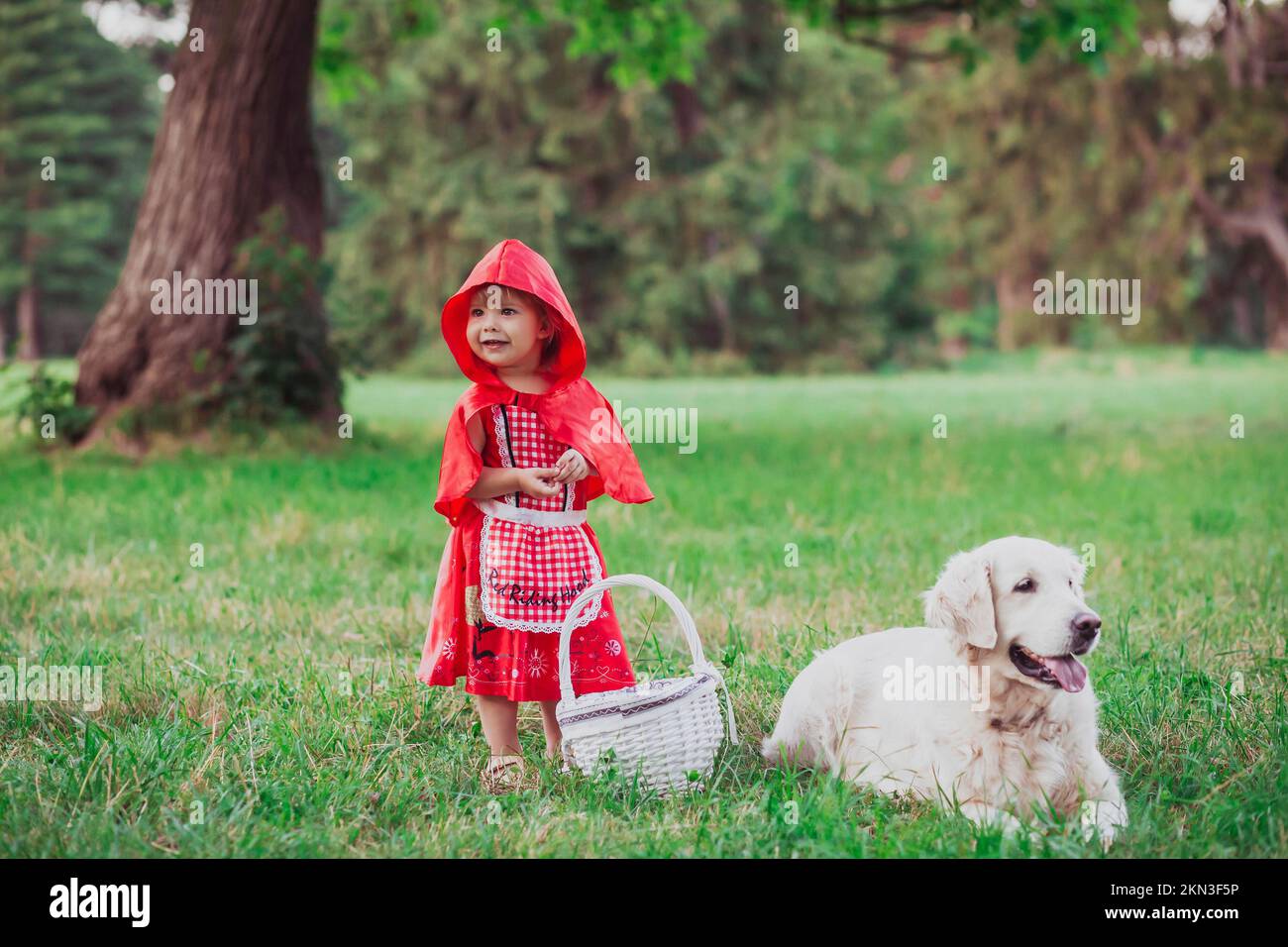 baby in a red riding hood costume and golden retriever instead of wolf Stock Photo