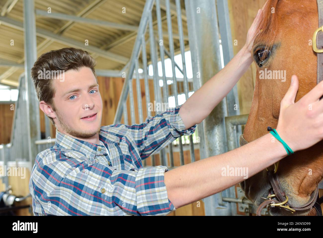 stable boy taking care of his horse Stock Photo Alamy