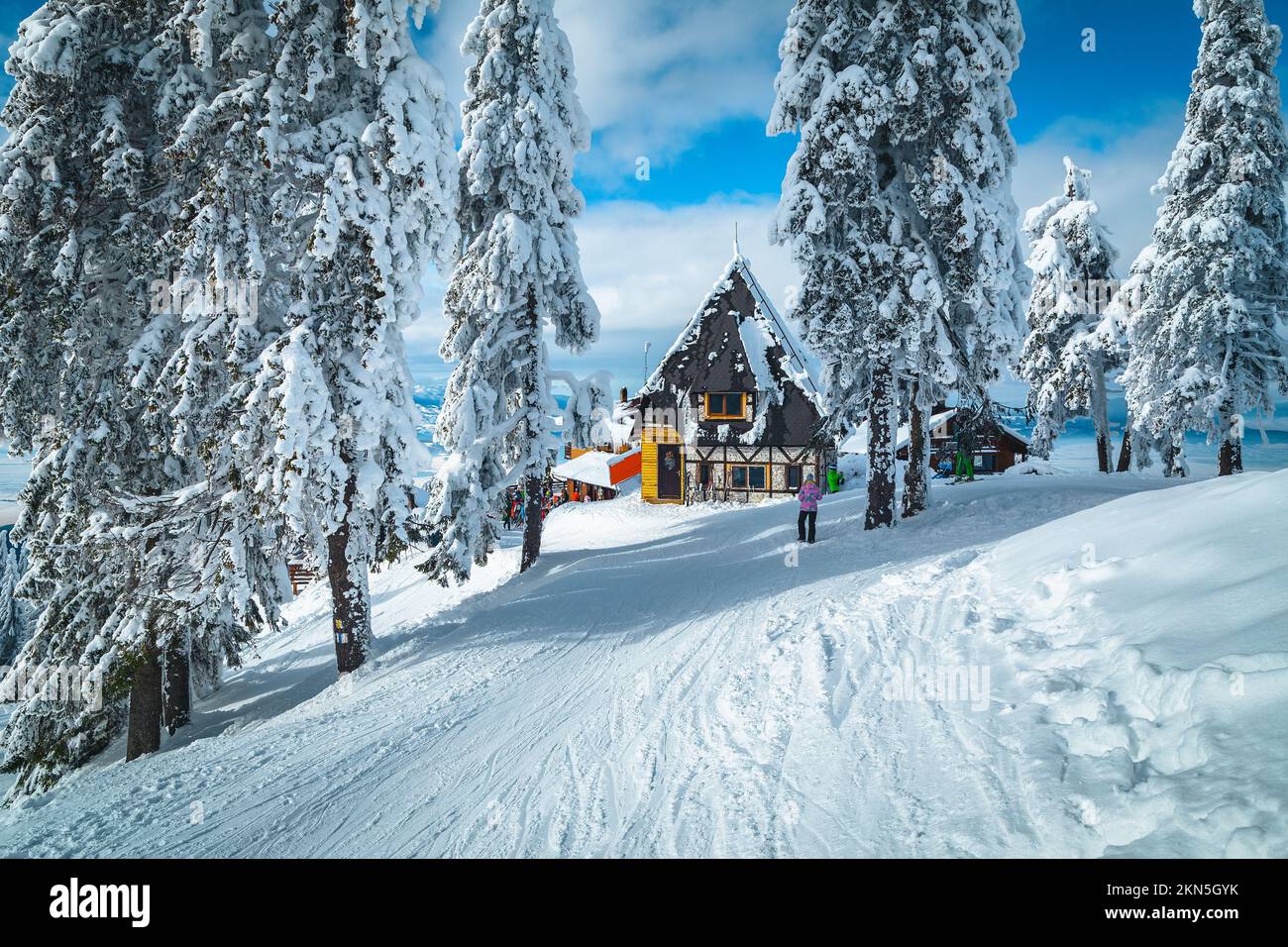 Amazing snow covered winter landscape and fantastic ski resort with snowy pine trees, Poiana Brasov, Carpathians, Romania, Europe Stock Photo