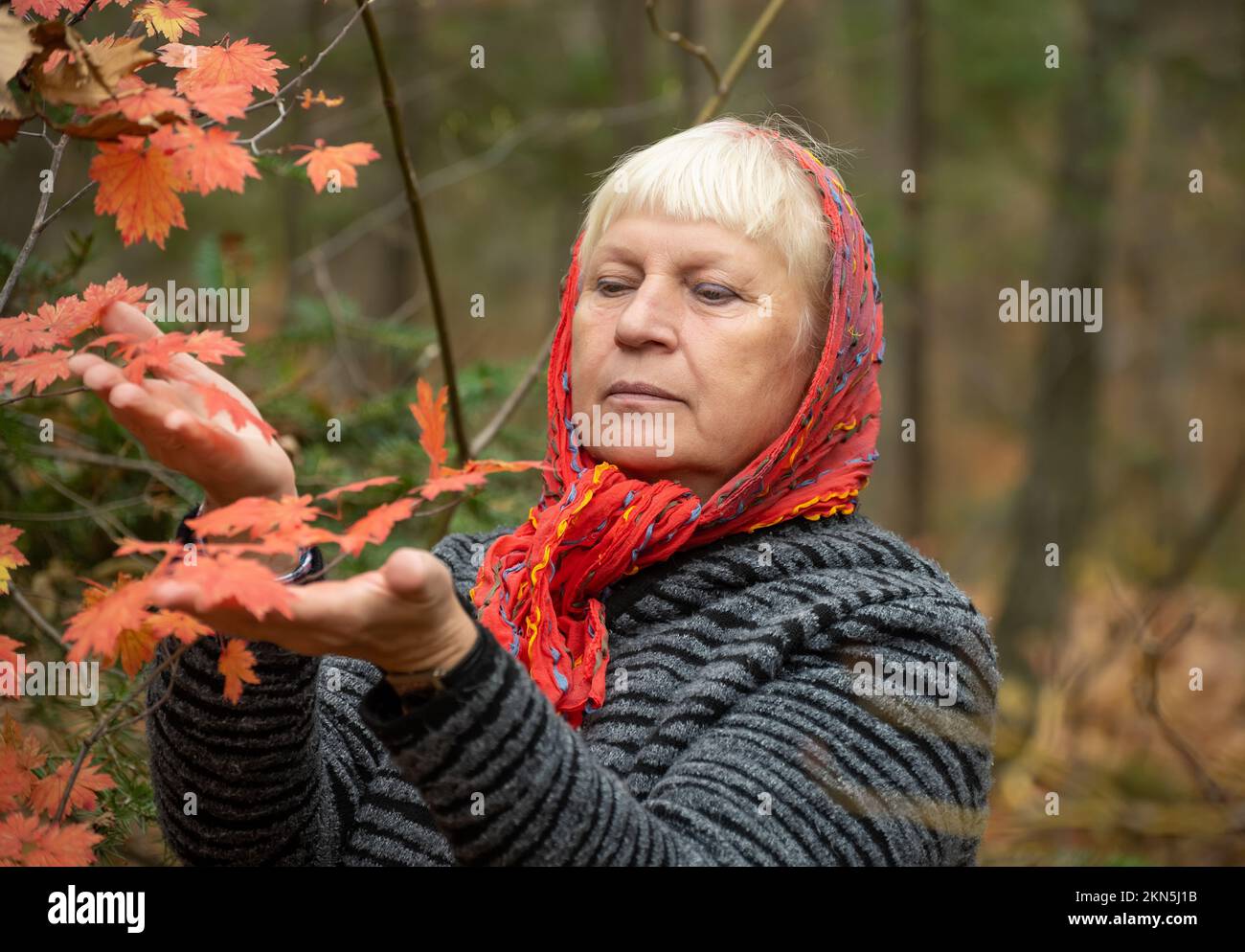 Autumn portrait of beautiful aged woman. Natural Light. Stock Photo