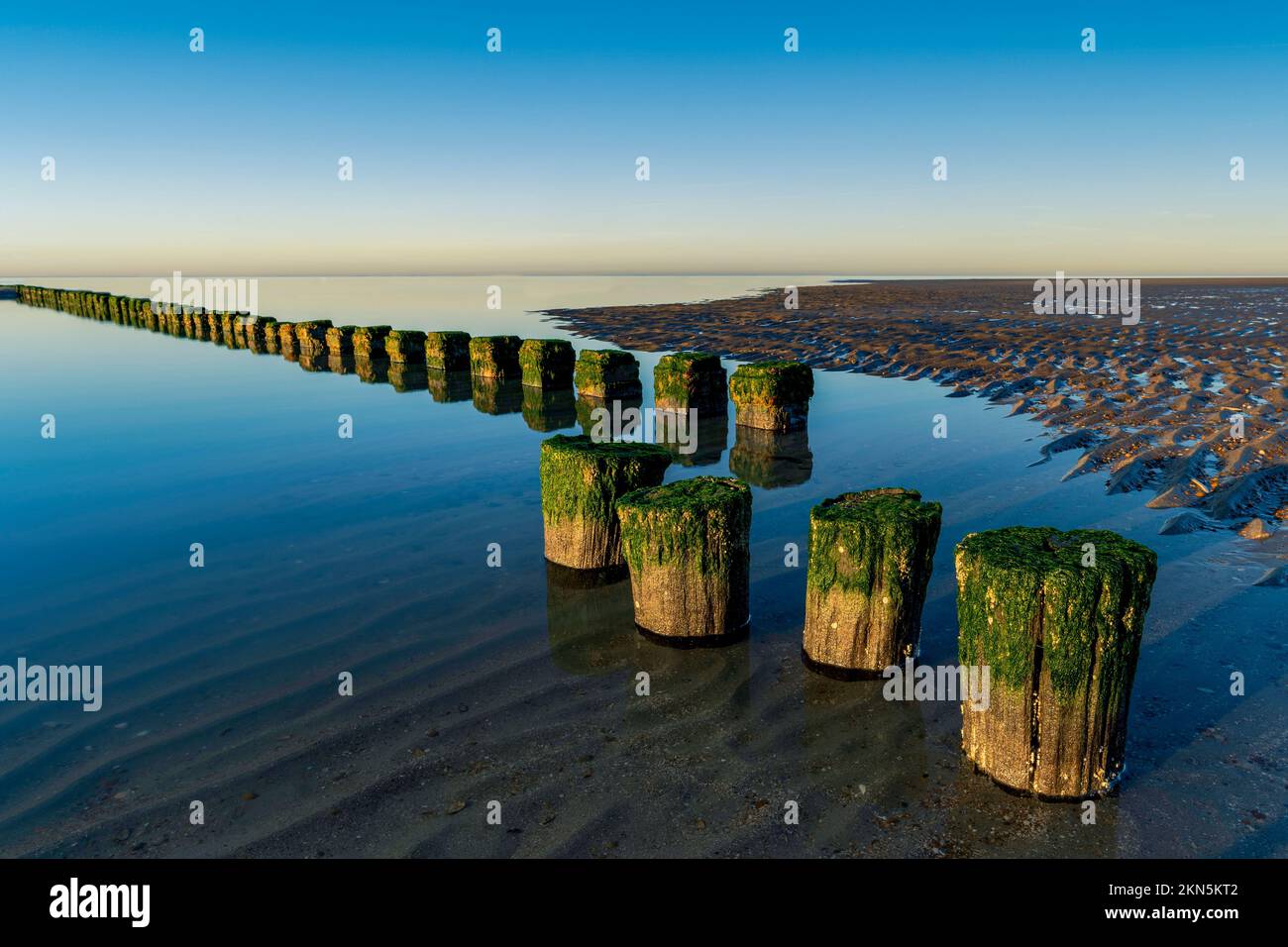 Log breakwater hi-res stock photography and images - Alamy
