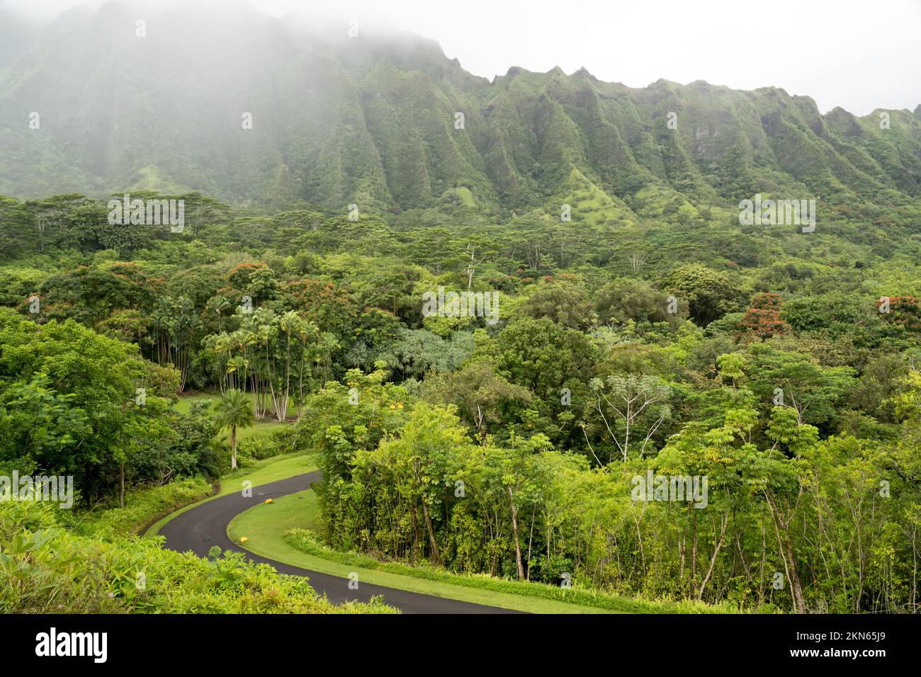 View on the road on Hoʻomaluhia Botanical Garden Oahu Hawaii Stock Photo
