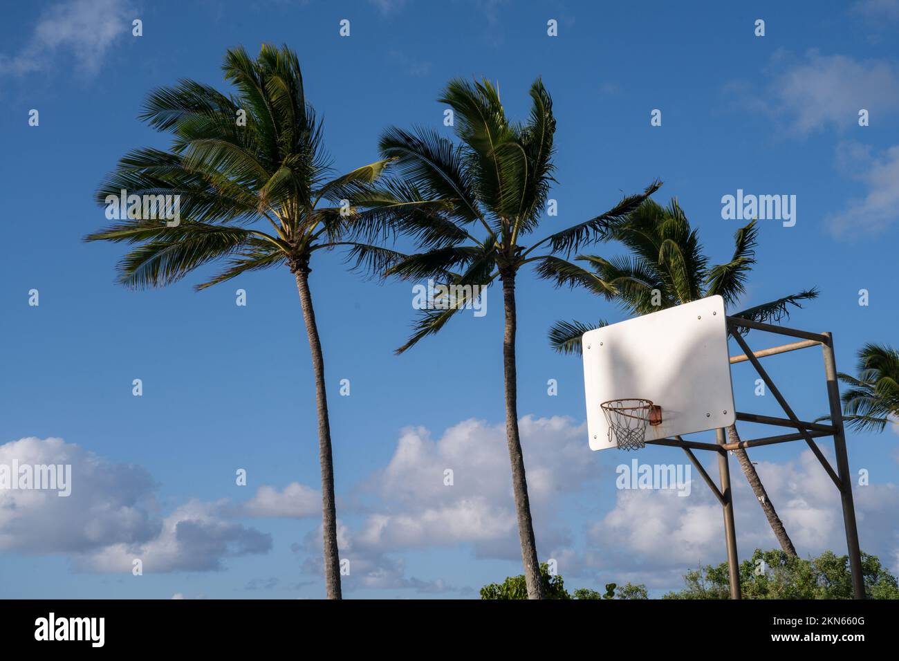 Basketball court in the sun under palm trees Stock Photo Alamy