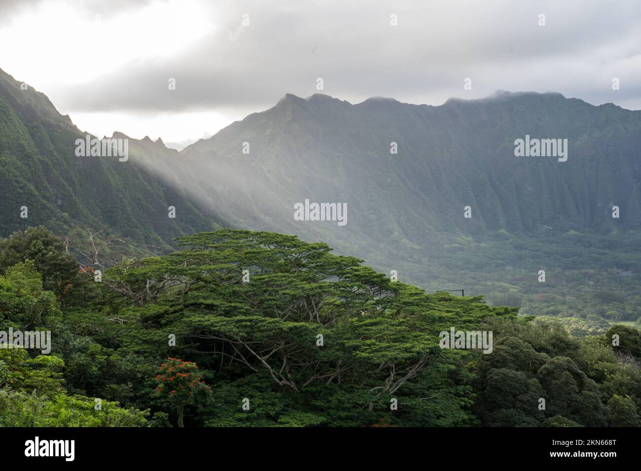 Last sunbeam of the day on Ohau Hawaii looking at a beautiful green valley  and the ,mountains infront of Hoʻomaluhia Botanical Garden Stock Photo -  Alamy