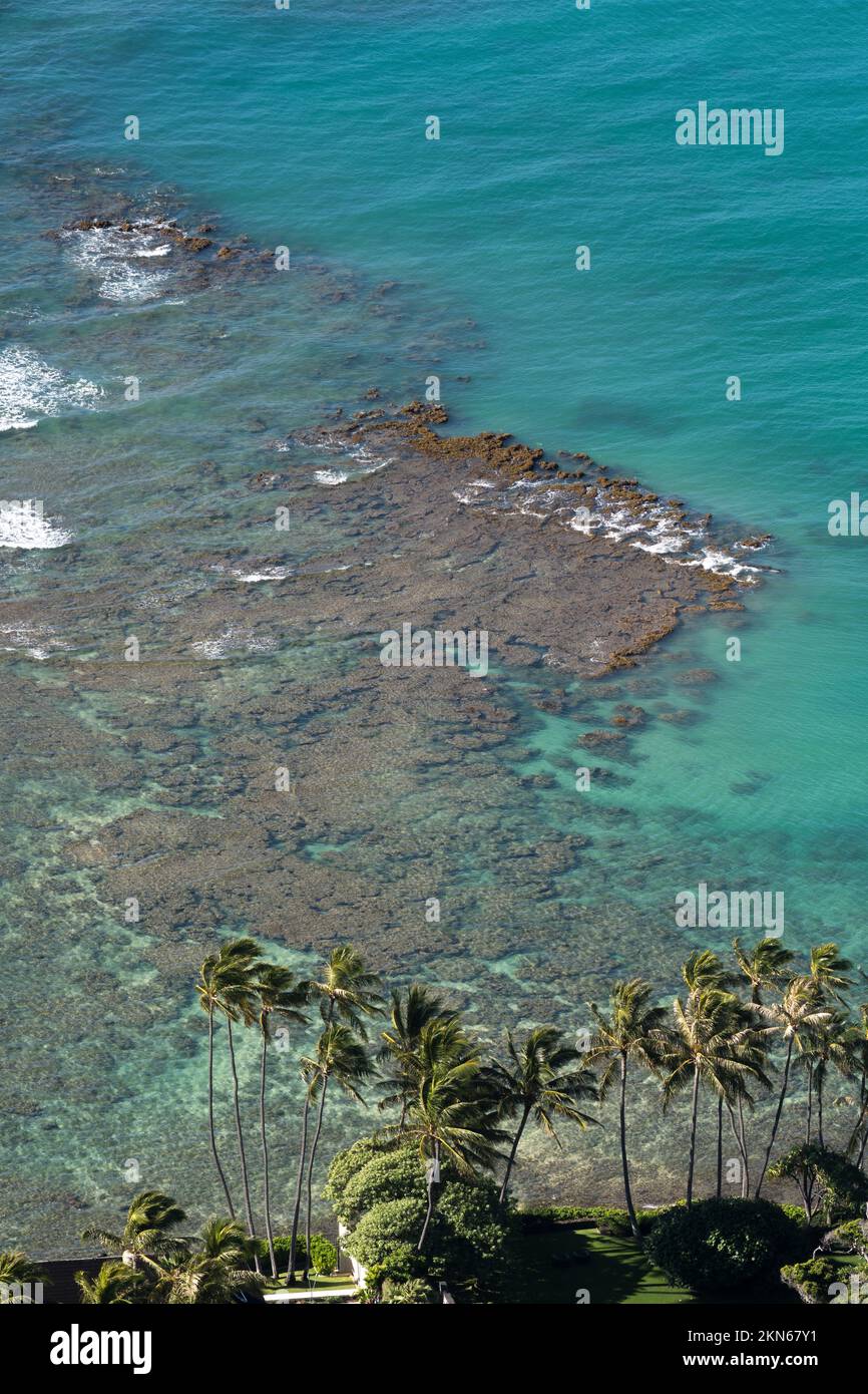 Corals from high above areal view on Oahu Hawaii Stock Photo