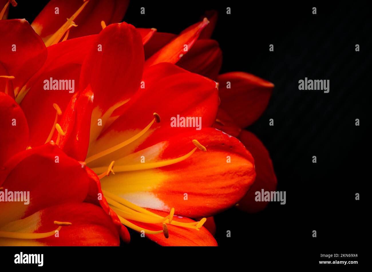 Shore Acres State Park in Southern Oregon Stock Photo - Alamy