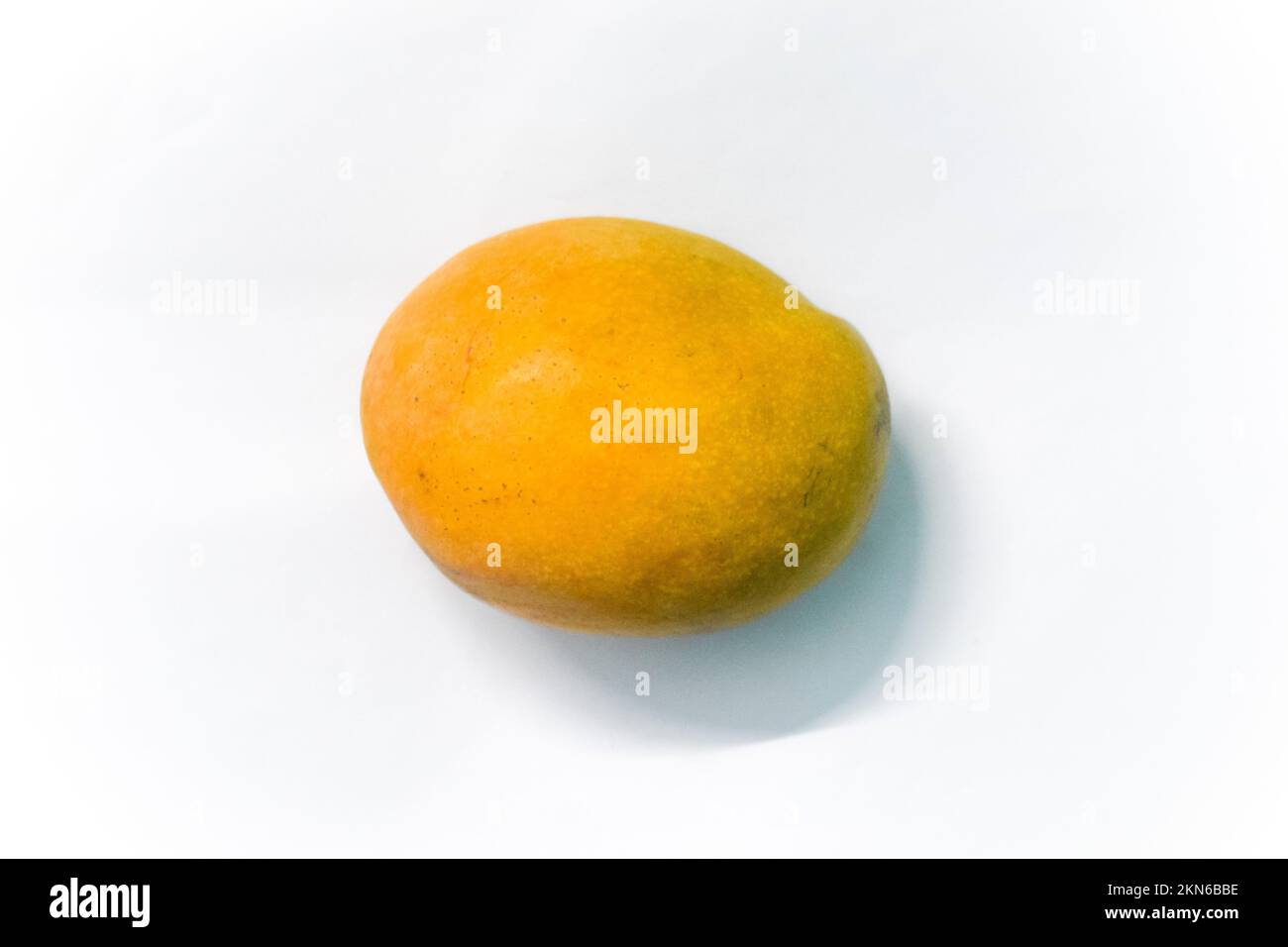 Mango mangifera indica on white hi-res stock photography and images - Alamy