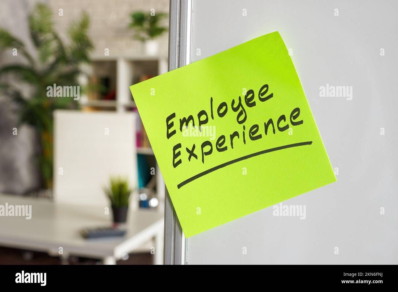 Employee experience written on the green sticker. Stock Photo