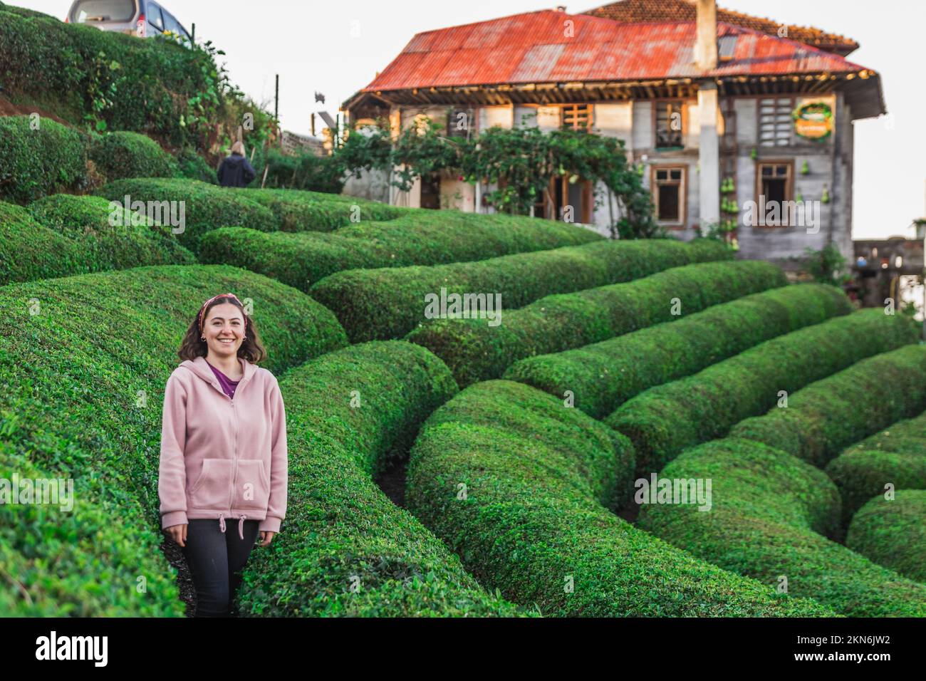 Turkey Tea Field Tea plantations near Rize in Turkey editorial Stock Photo - Alamy