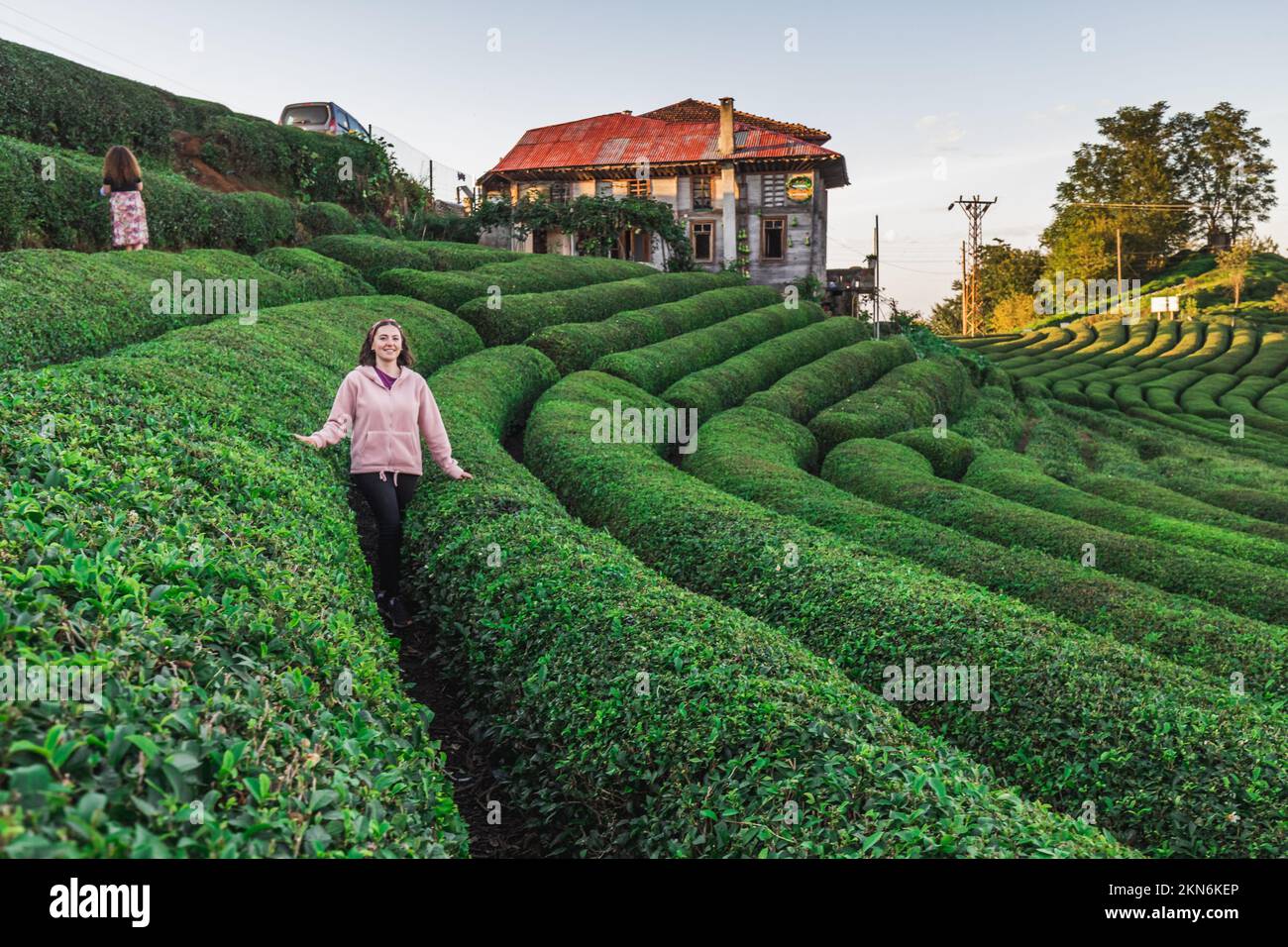 Tea Plantations Near Rize In Turkey Editorial Stock Photo - Alamy