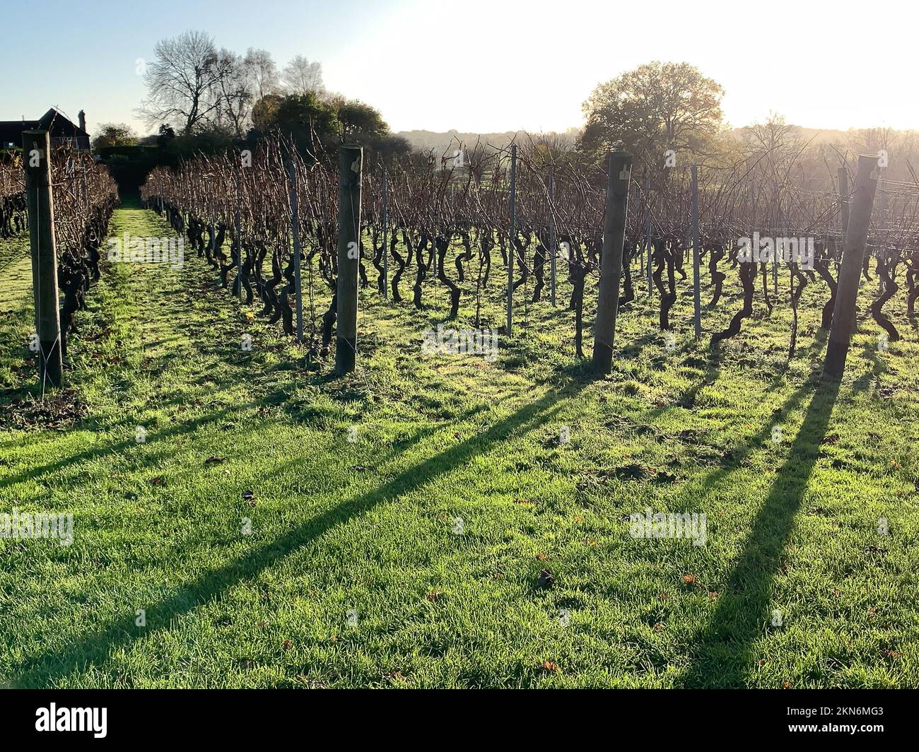 tenterden-kent-uk-25th-november-2022-visitors-enjoyed-a