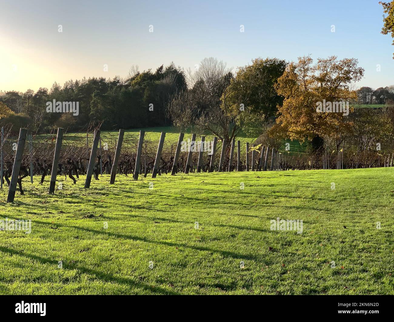 tenterden-kent-uk-25th-november-2022-visitors-enjoyed-a