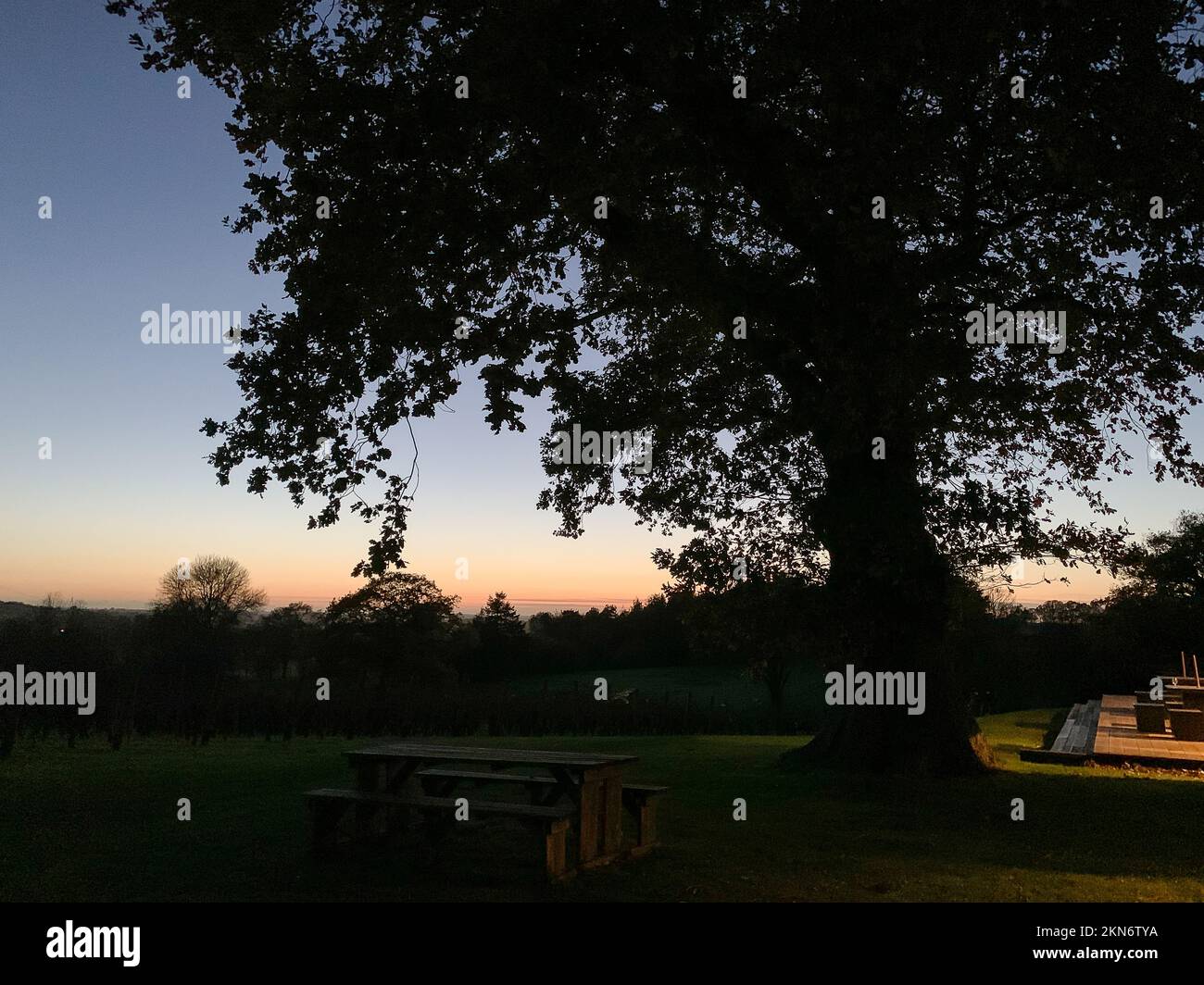 tenterden-kent-uk-25th-november-2022-visitors-enjoyed-a