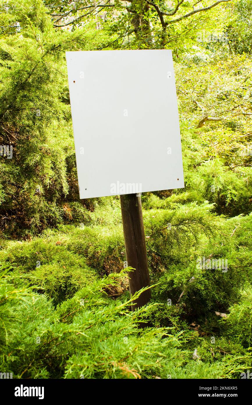Blank environmental sign post with copyspace in a green Tasmania nature ...