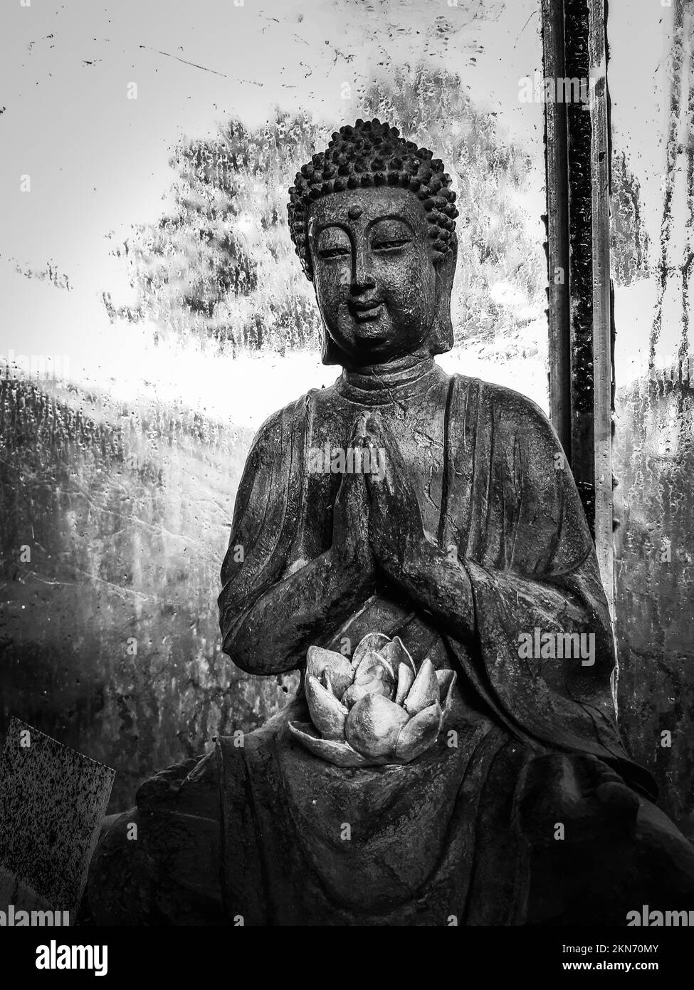Buddha in the botanical garden in Liège - Belgium Stock Photo - Alamy