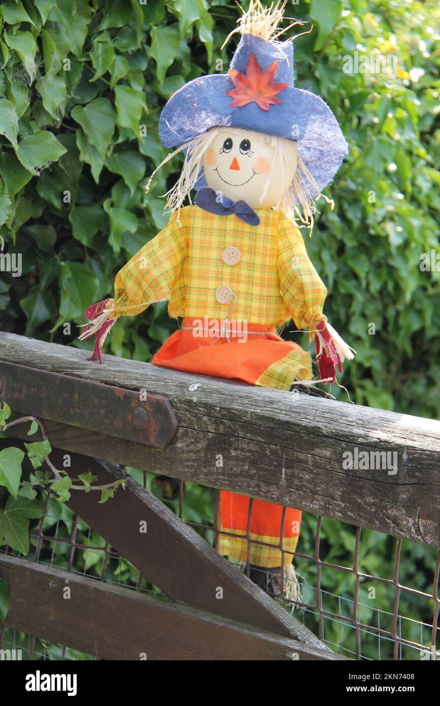 A Hand Made Rag Doll Fitted to a Wooden Gate. Stock Photo