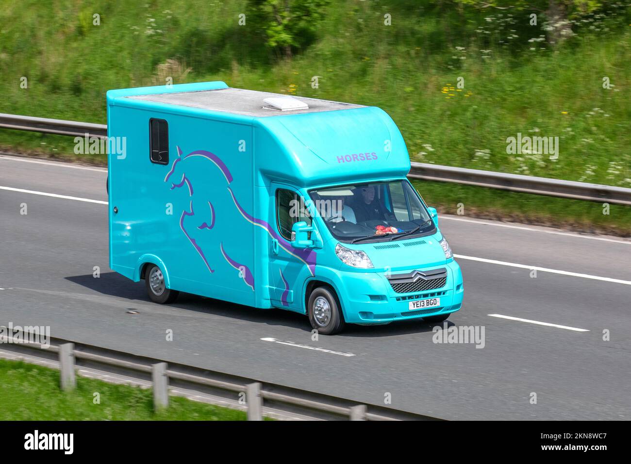 2013 Blue CITROEN RELAY 35 L3H2 ENTERPRISE HGI 2198cc horsebox van; travelling on the M6 motorway, UK Stock Photo