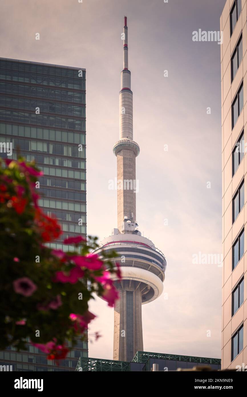 Vertical view cn tower hi-res stock photography and images - Alamy
