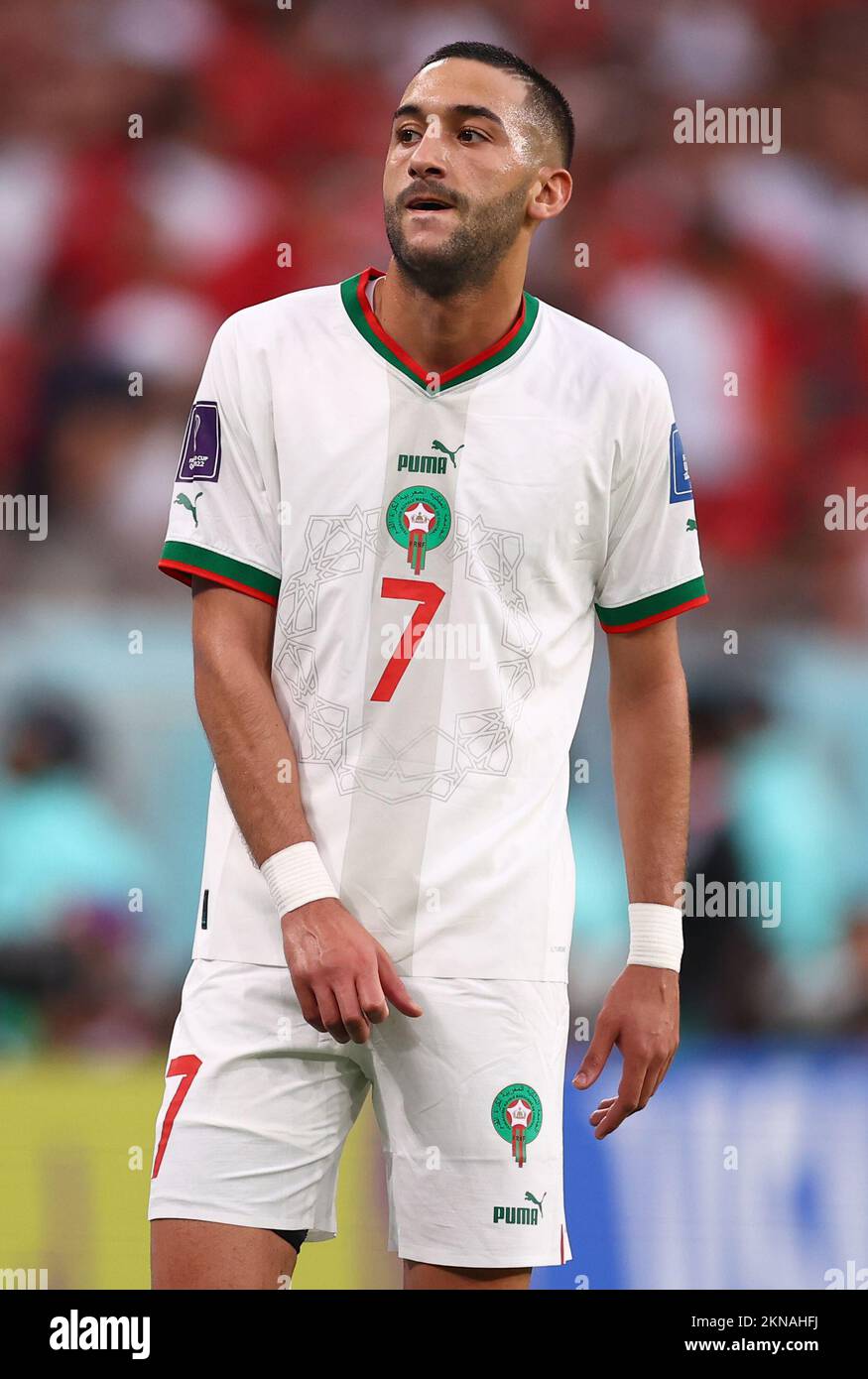 Doha, Qatar, 27th November 2022.  Hakim Ziyach of Morocco during the FIFA World Cup 2022 match at Al Thumama Stadium, Doha. Picture credit should read: David Klein / Sportimage Stock Photo