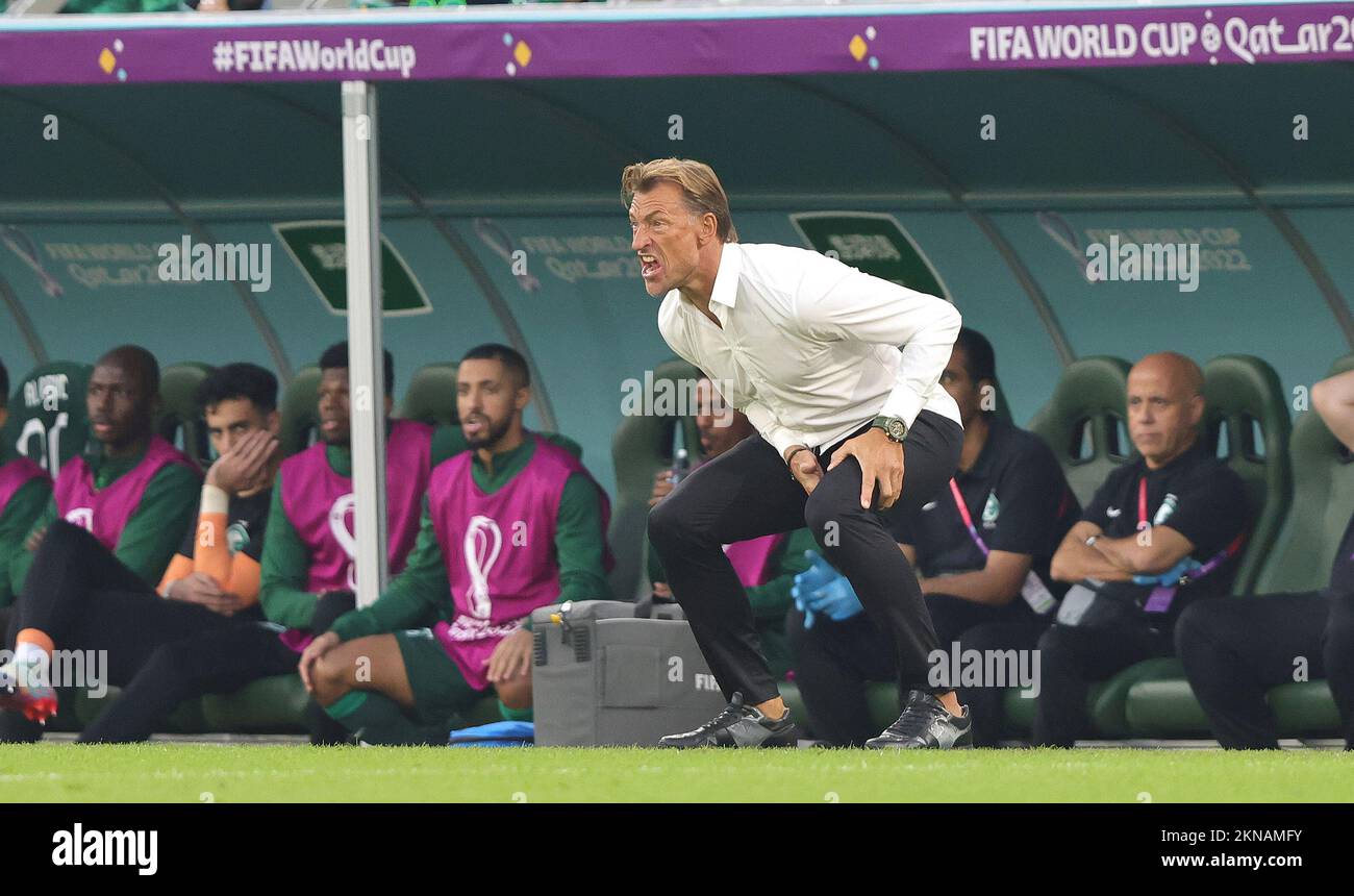 Head coach Herve Renard of Saudi Arabia during the FIFA World Cup 2022 ...