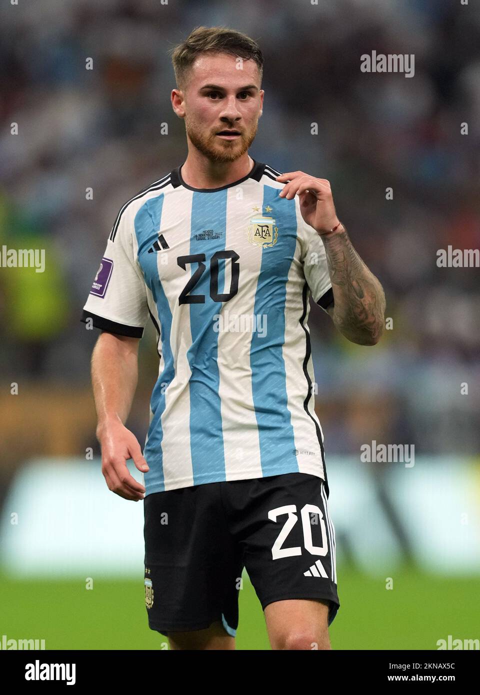 Argentina's Alexis Mac Allister during the FIFA World Cup Group C match