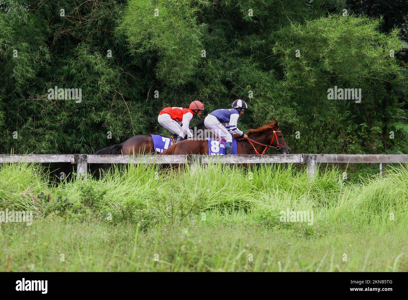 Bantul, Indonesia. 27th Nov, 2022. Jockeys spurring his horse during the 2022 King Hamengku Buwono X Cup Horse Racing Championship at the Sultan Agung Horse Race Track, Bantul, Special Region of Yogyakarta. The championship, which is routinely held every year, was attended by 157 horses from several regions in Indonesia. (Photo by Angga Budhiyanto/SOPA Images/Sipa USA) Credit: Sipa USA/Alamy Live News Stock Photo