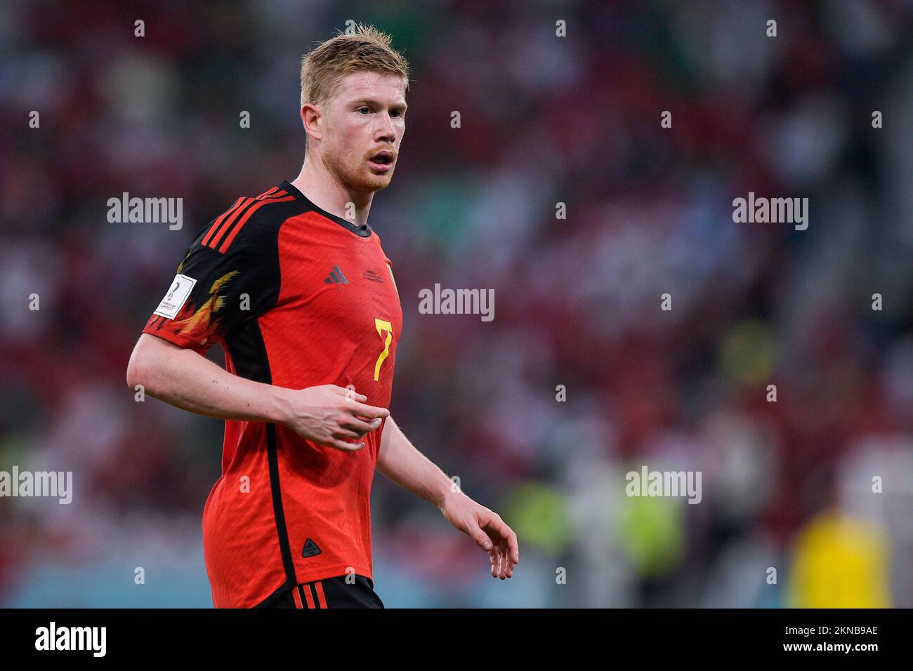 DOHA, QATAR - NOVEMBER 27: Kevin De Bruyne of Belgium looks on during the Group F - FIFA World Cup Qatar 2022 match between Belgium and Morocco at the Al Thumama Stadium on November 27, 2022 in Doha, Qatar (Photo by Pablo Morano/BSR Agency) Stock Photo