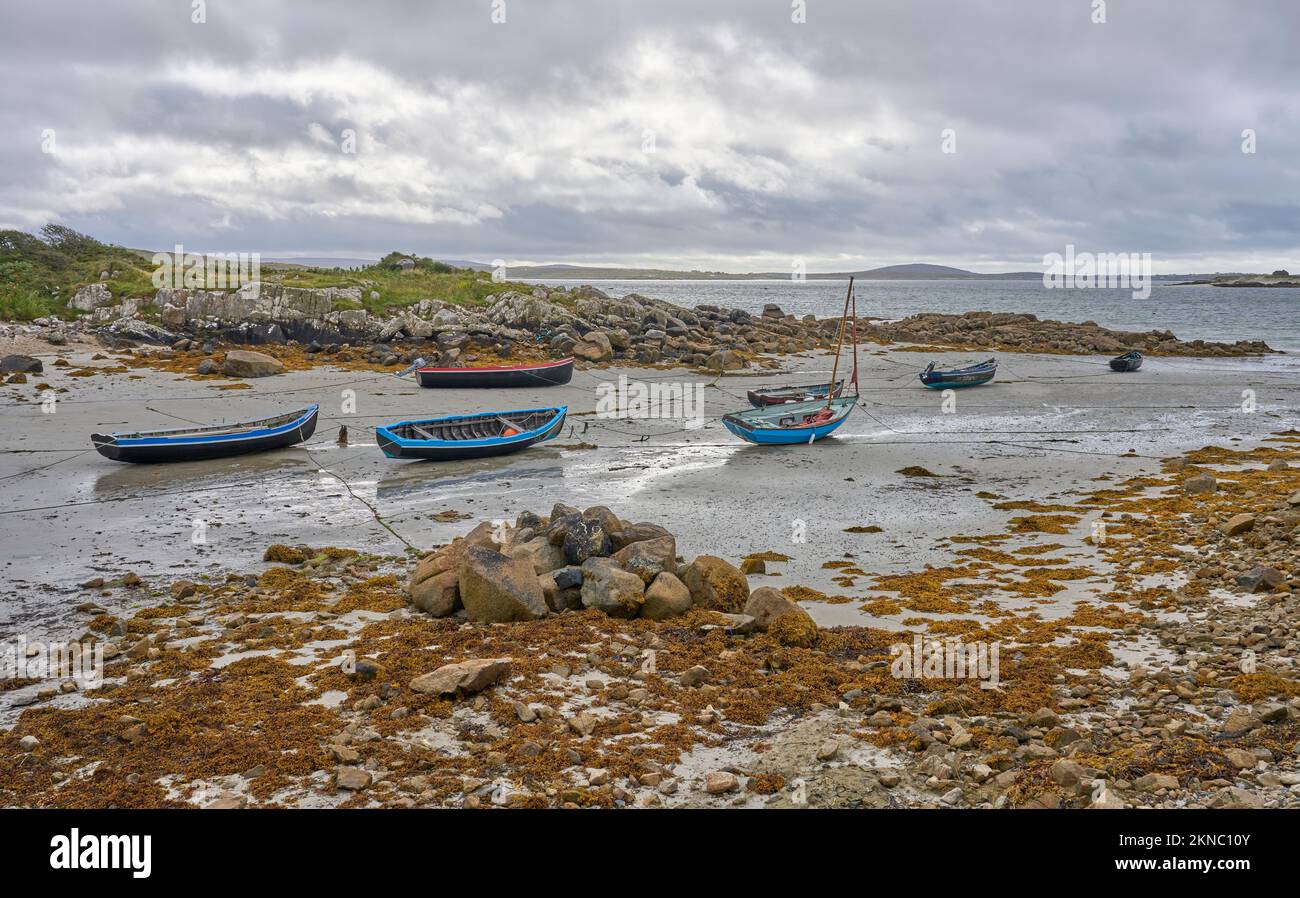 Traditional sailing boats at low tide in a sandy bay at the irish west