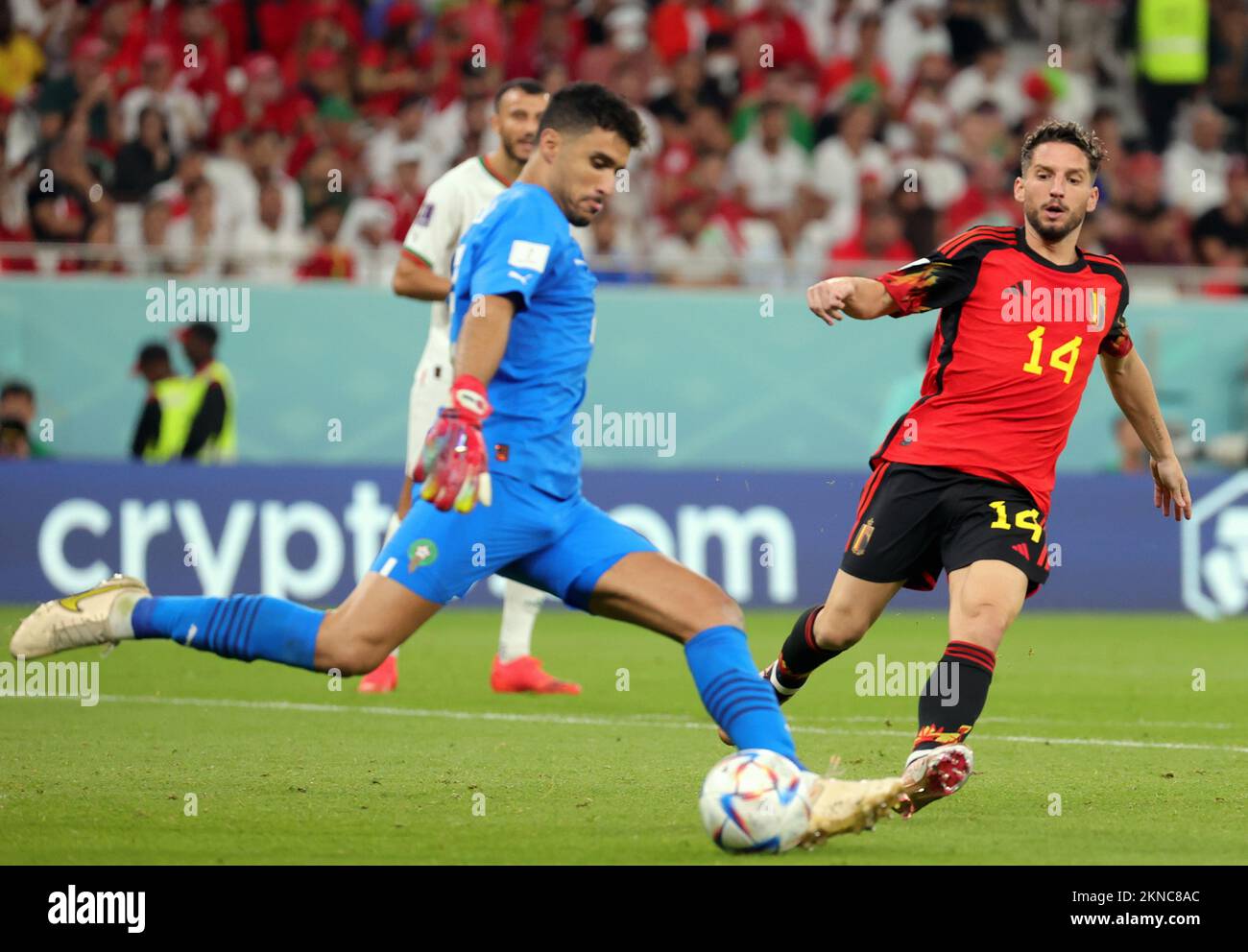 Moroccan goalkeeper Munir Mohamedi and Belgium's Dries Mertens pictured in action during a soccer game between Belgium's national team the Red Devils and Morocco, in Group F of the FIFA 2022 World Cup in Al Thumama Stadium, Doha, State of Qatar on Sunday 27 November 2022. BELGA PHOTO VIRGINIE LEFOUR Stock Photo