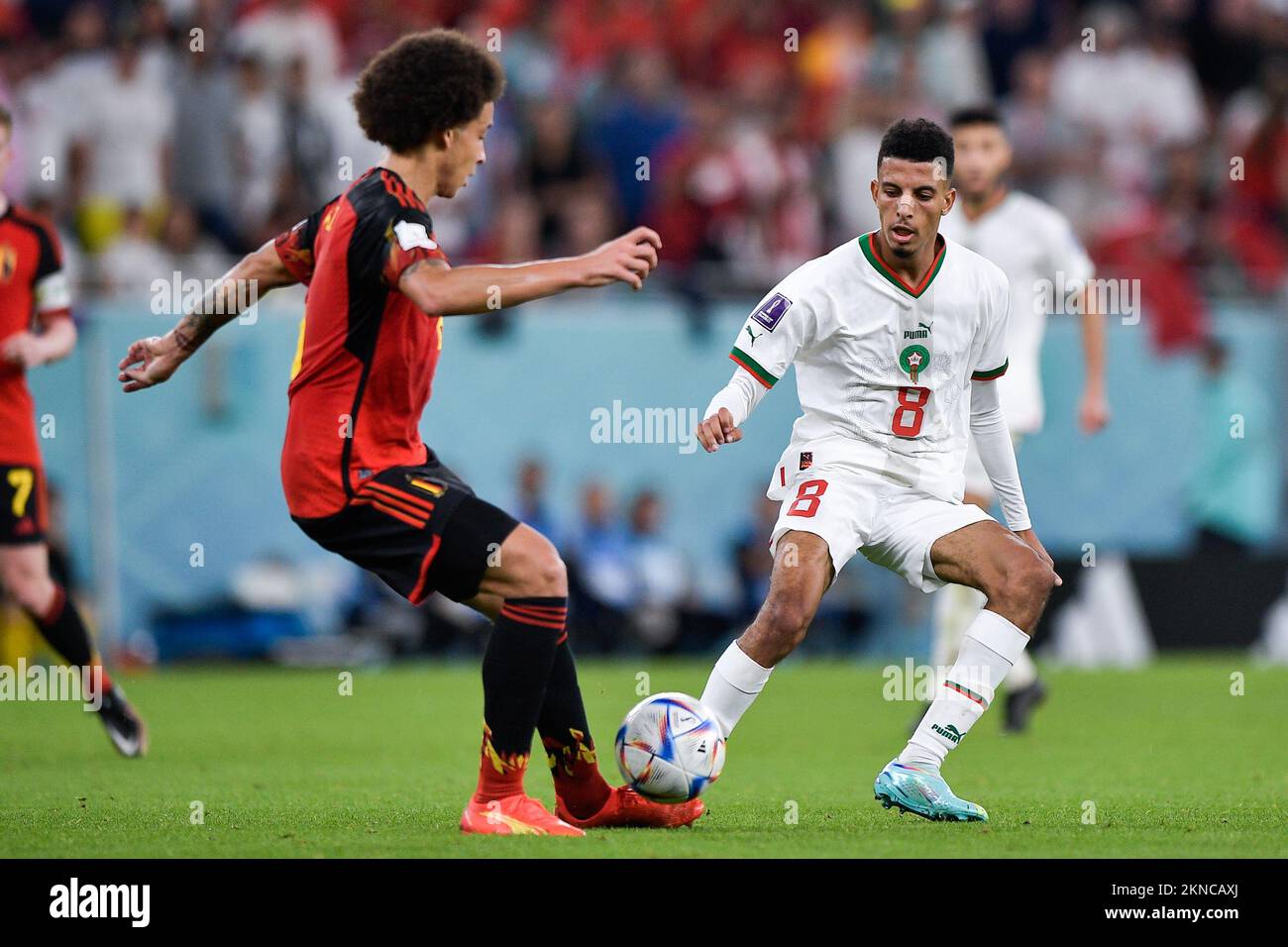 DOHA, QATAR - NOVEMBER 27: Axel Witsel of Belgium battles for the ball with Azzedine Ounahi of Morocco during the Group F - FIFA World Cup Qatar 2022 match between Belgium and Morocco at the Al Thumama Stadium on November 27, 2022 in Doha, Qatar (Photo by Pablo Morano/BSR Agency) Stock Photo