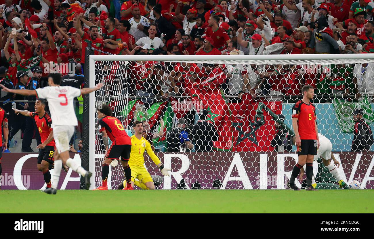 Belgium's goalkeeper Thibaut Courtois reacts during a soccer game between Belgium's national team the Red Devils and Morocco, in Group F of the FIFA 2022 World Cup in Al Thumama Stadium, Doha, State of Qatar on Sunday 27 November 2022. BELGA PHOTO VIRGINIE LEFOUR Stock Photo